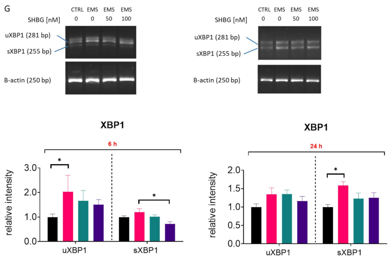 Cells 10 00755 g007c