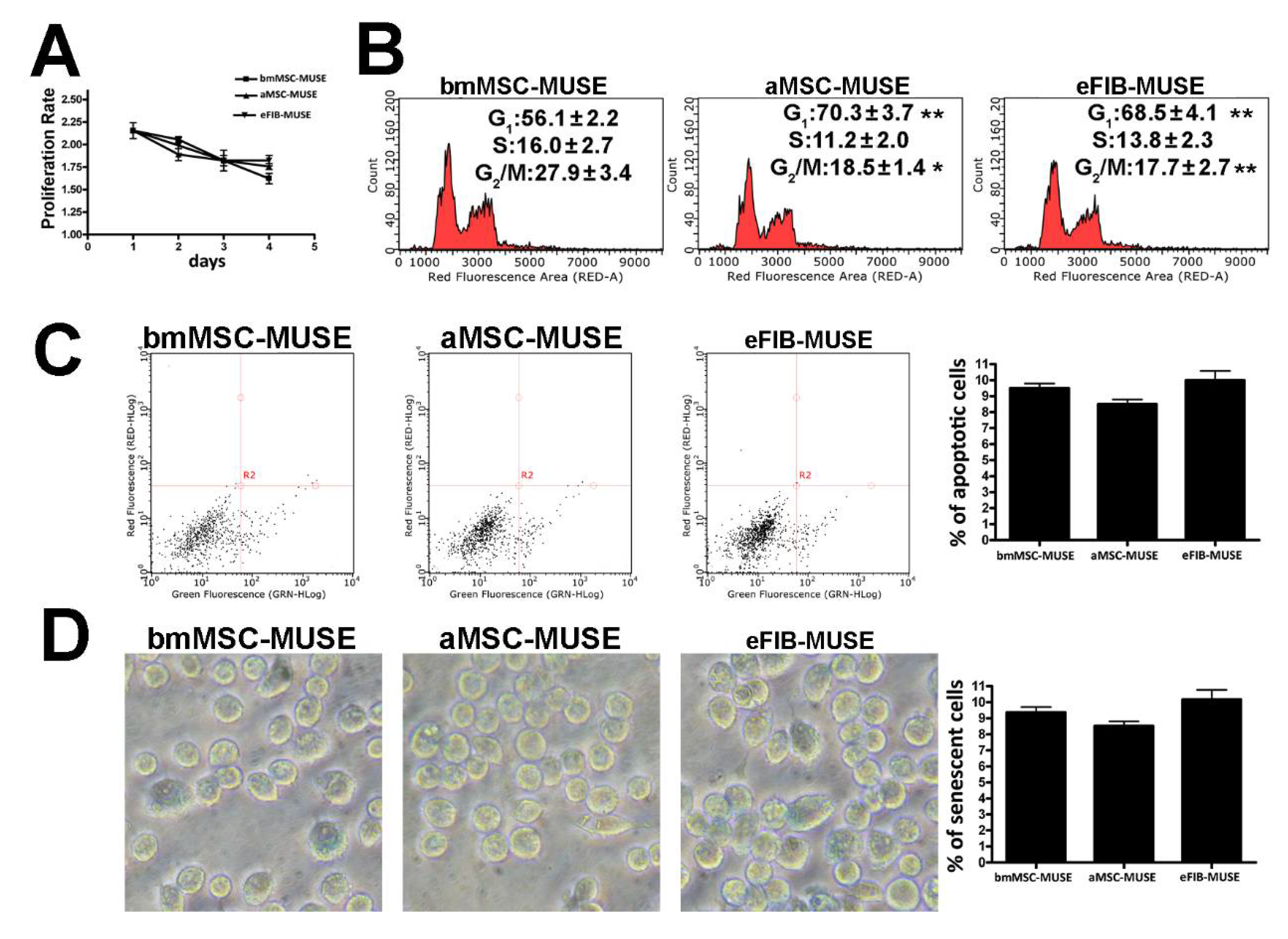 Cells 10 00761 g002 Cells 10 00761 g002