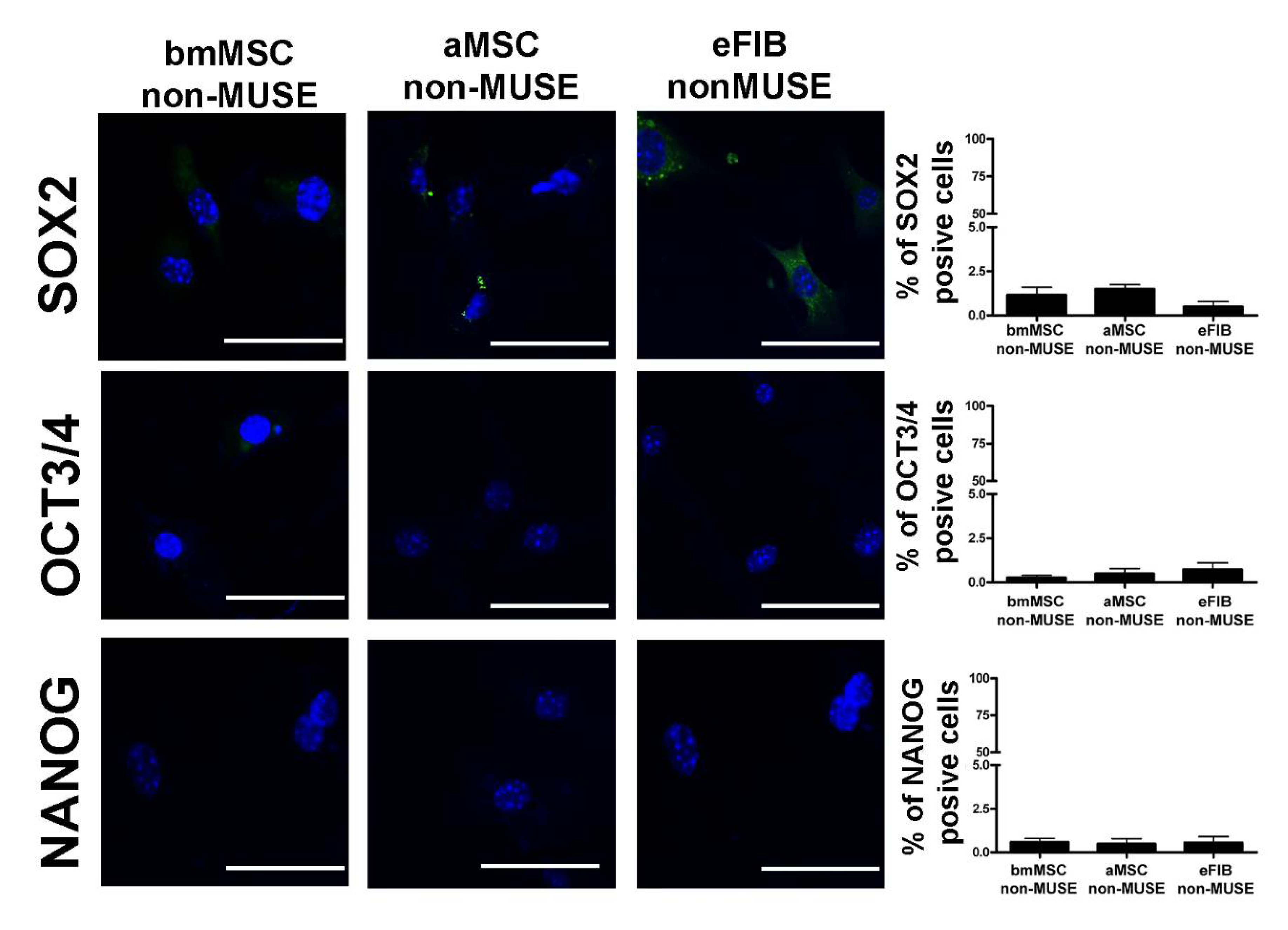 Cells 10 00761 g005 Cells 10 00761 g005