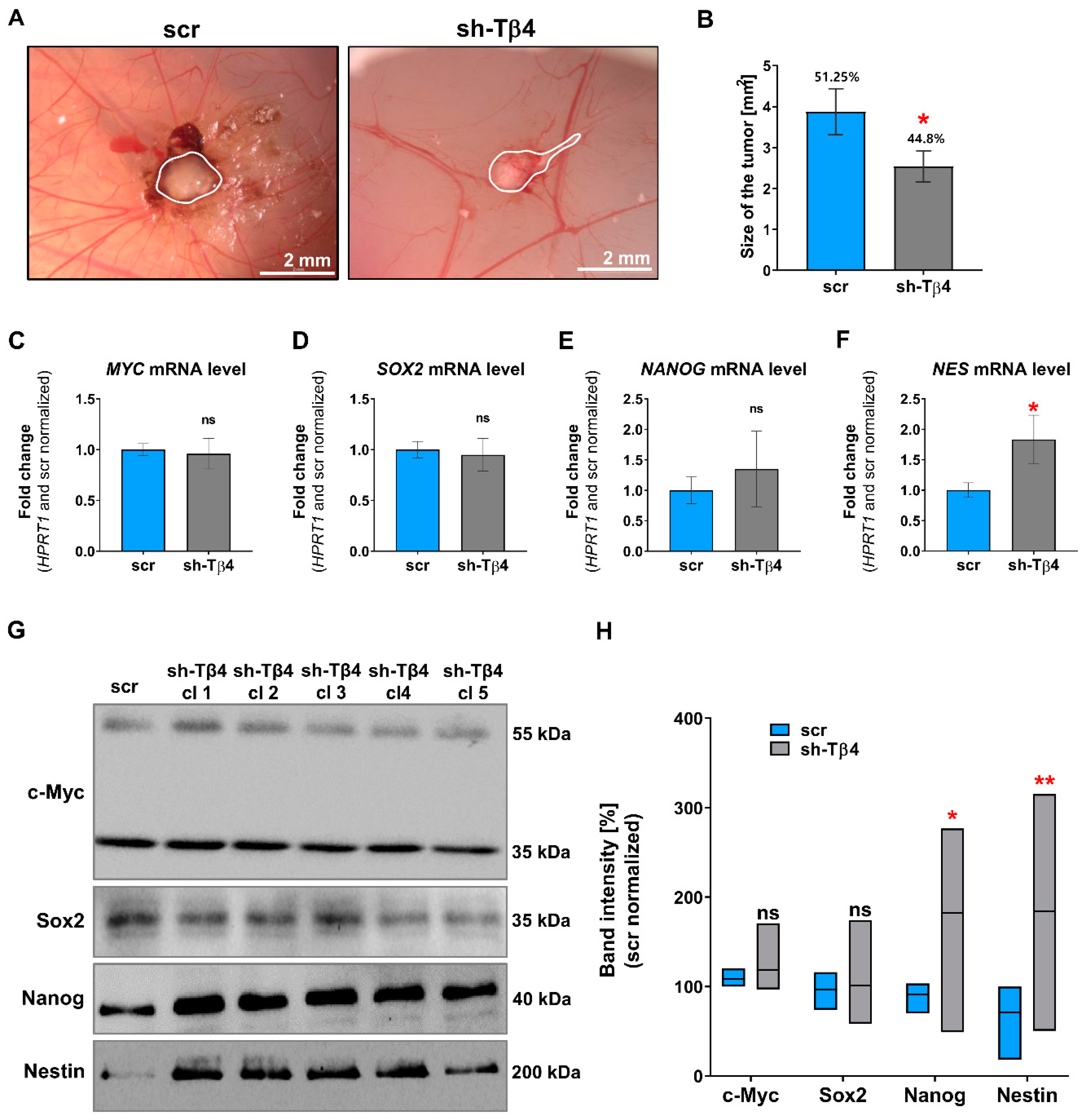 Cells 10 00769 g003 Cells 10 00769 g003
