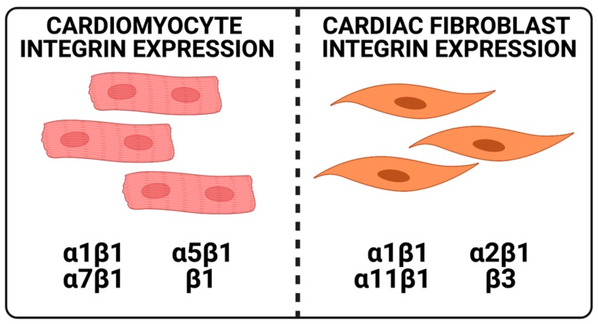 Cells 10 00770 g001 Cells 10 00770 g001
