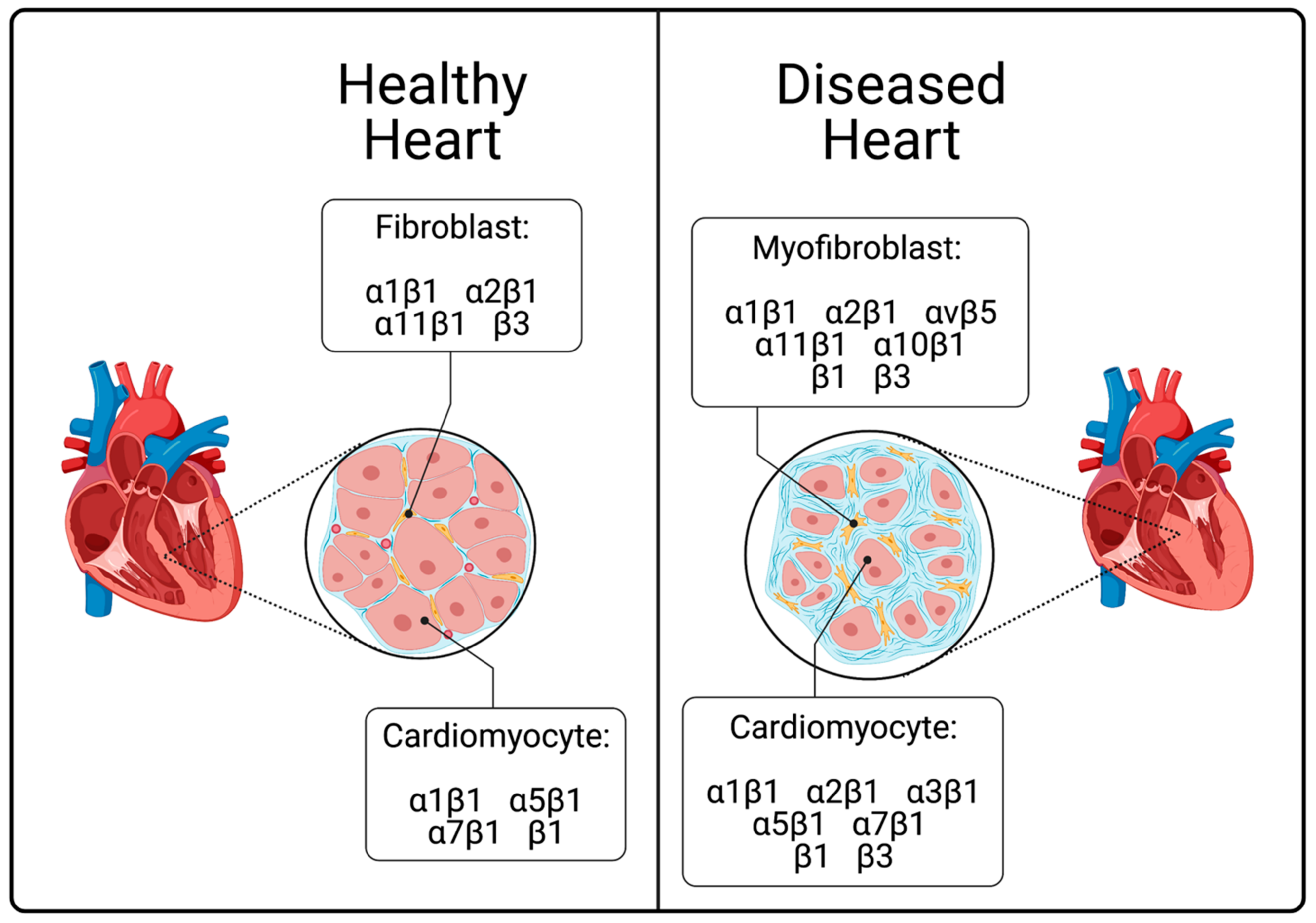 Cells 10 00770 g002 Cells 10 00770 g002