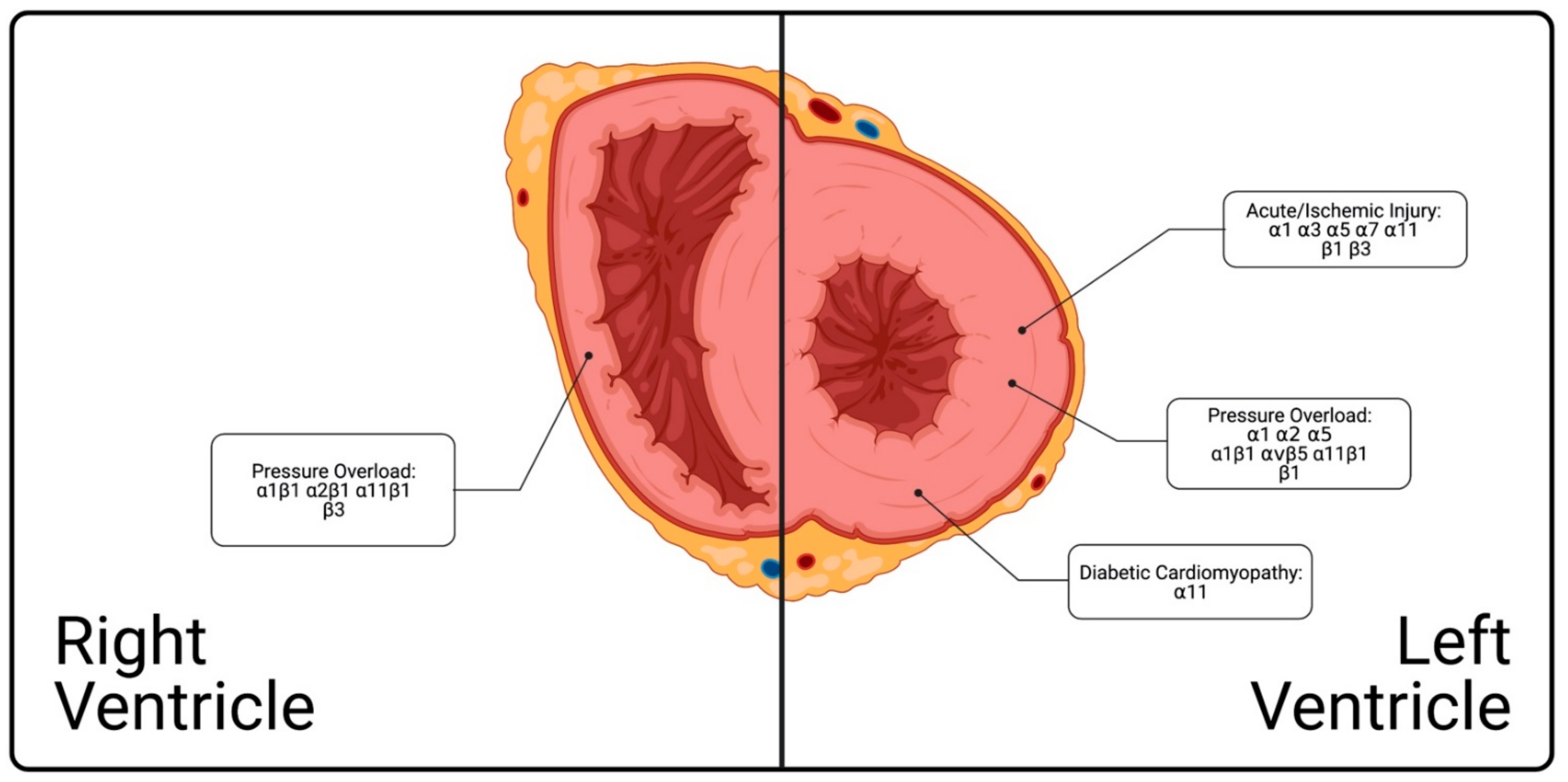 Cells 10 00770 g004 Cells 10 00770 g004
