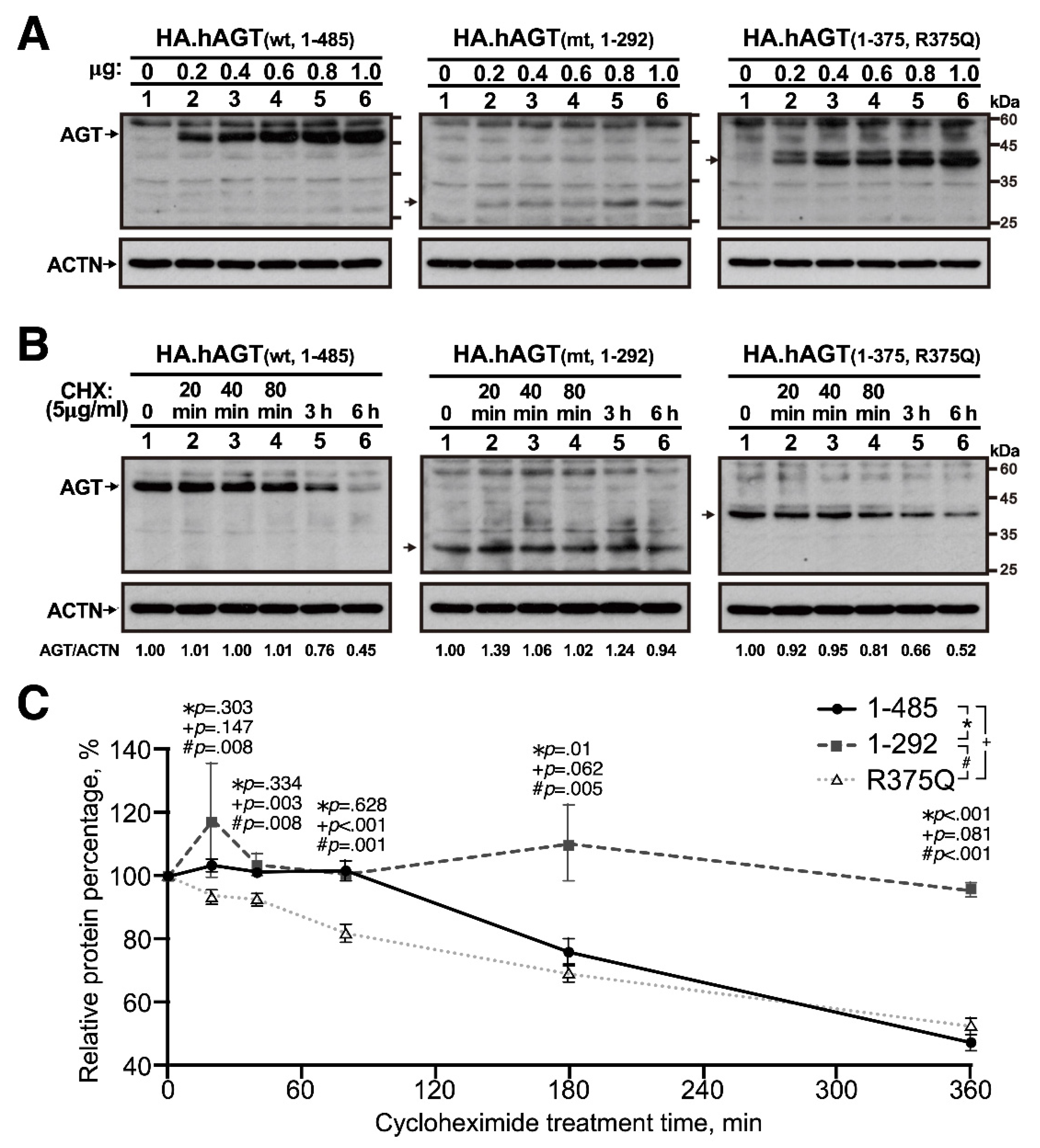 Cells 10 00782 g002 Cells 10 00782 g002