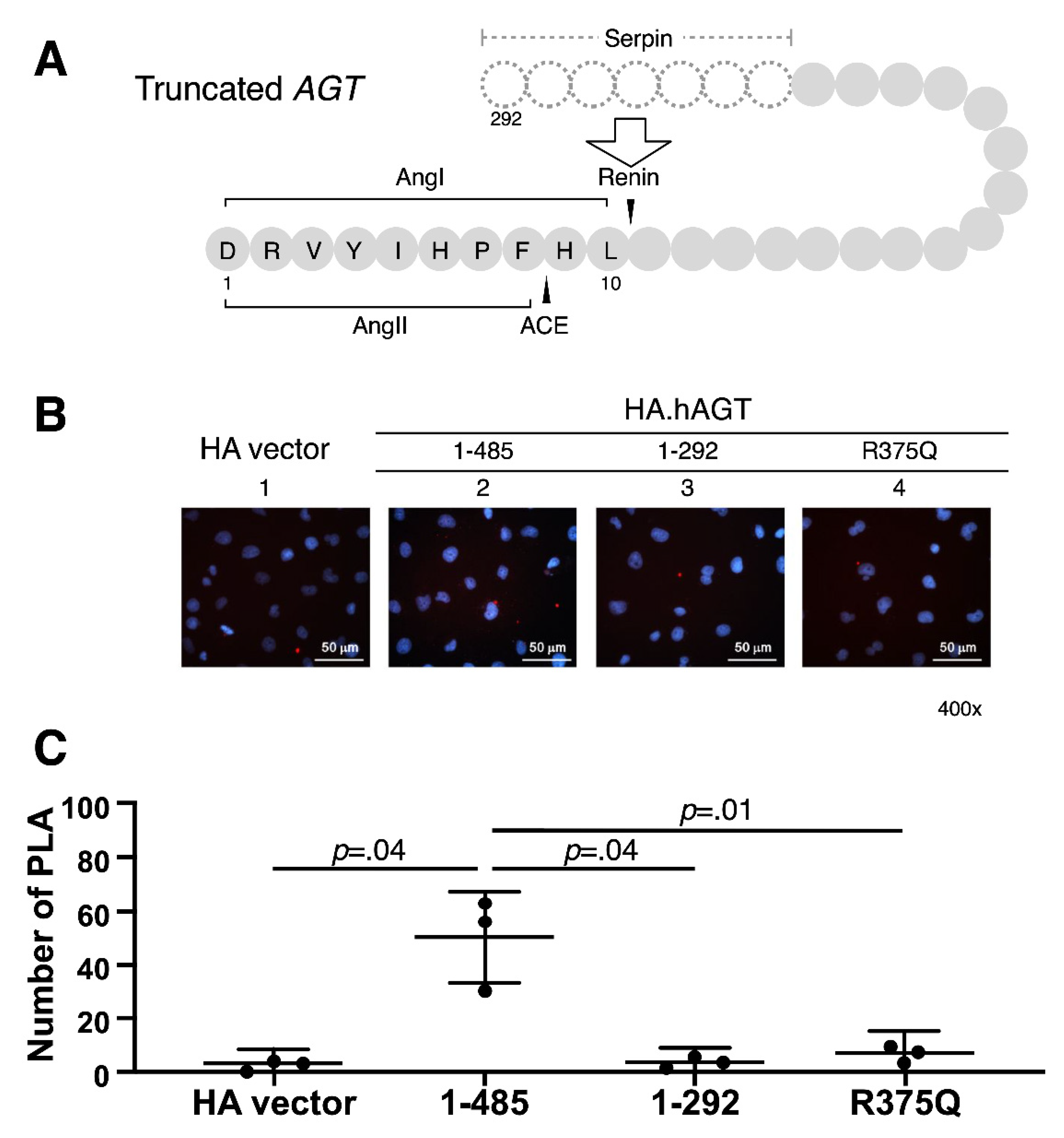 Cells 10 00782 g003 Cells 10 00782 g003