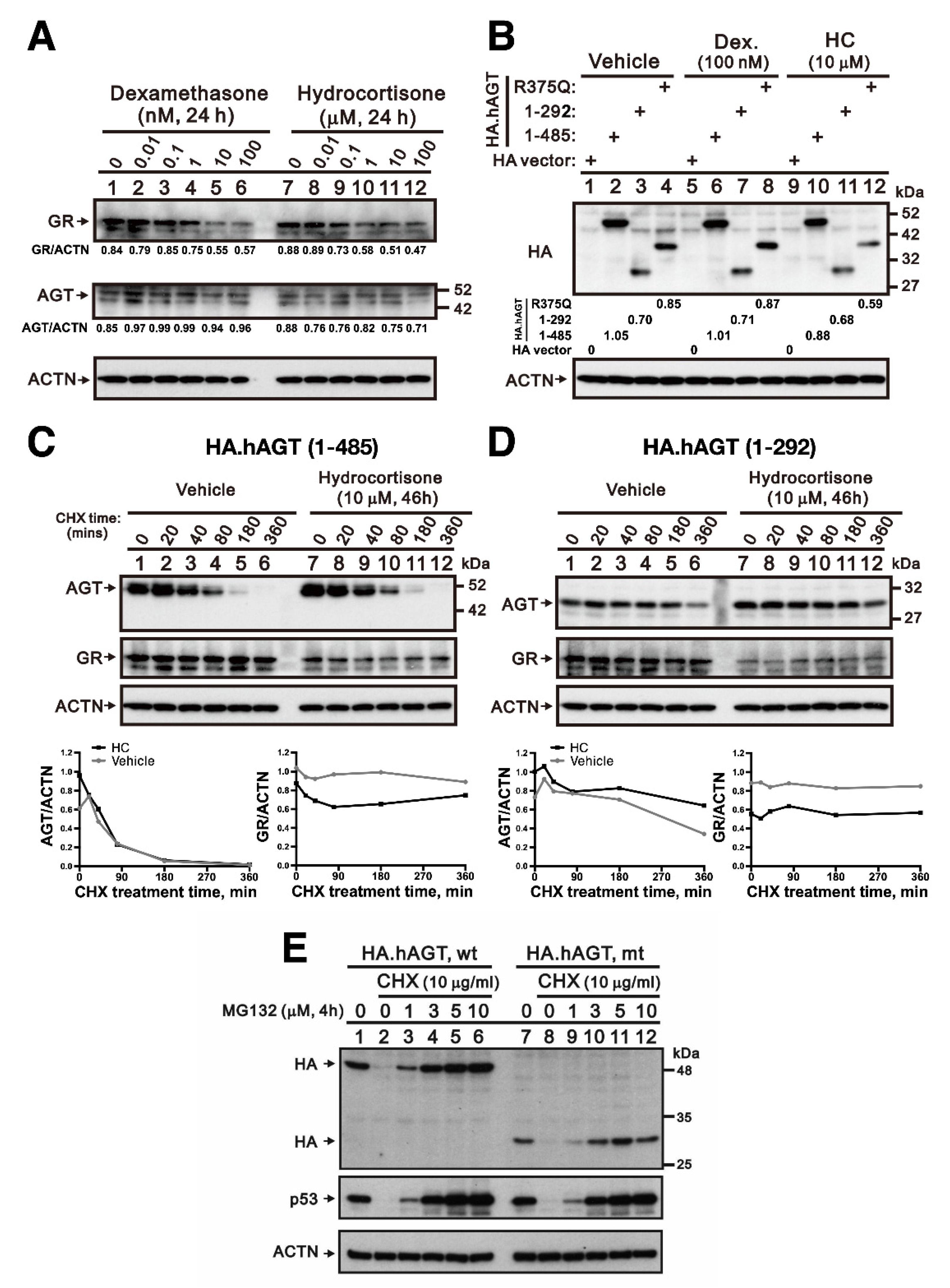 Cells 10 00782 g004 Cells 10 00782 g004