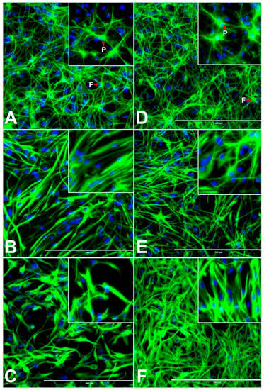 https://www.mdpi.com/cells/cells-10-00793/article_deploy/html/images/cells-10-00793-g001-550.jpg