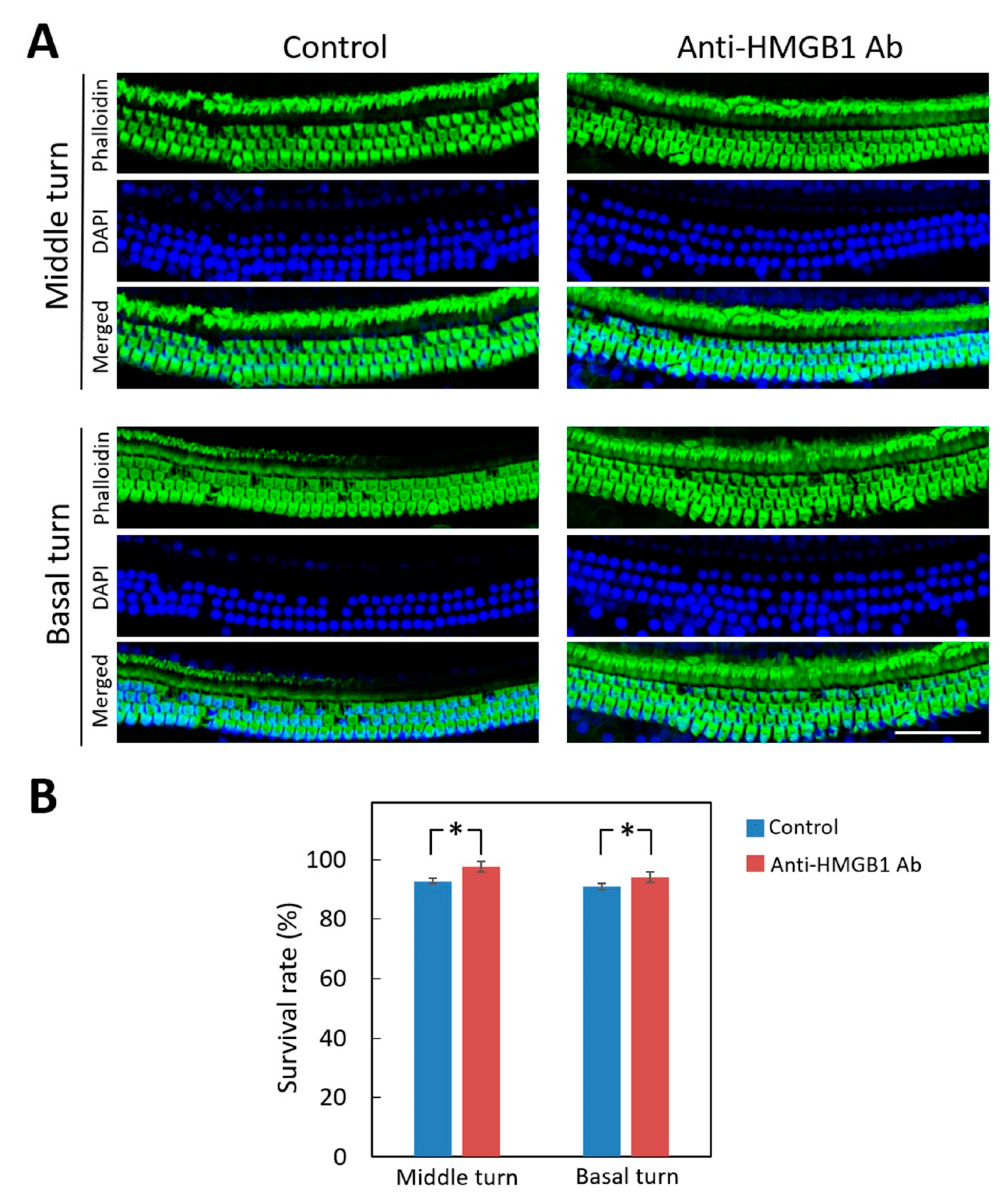Cells 10 00810 g008 Cells 10 00810 g008