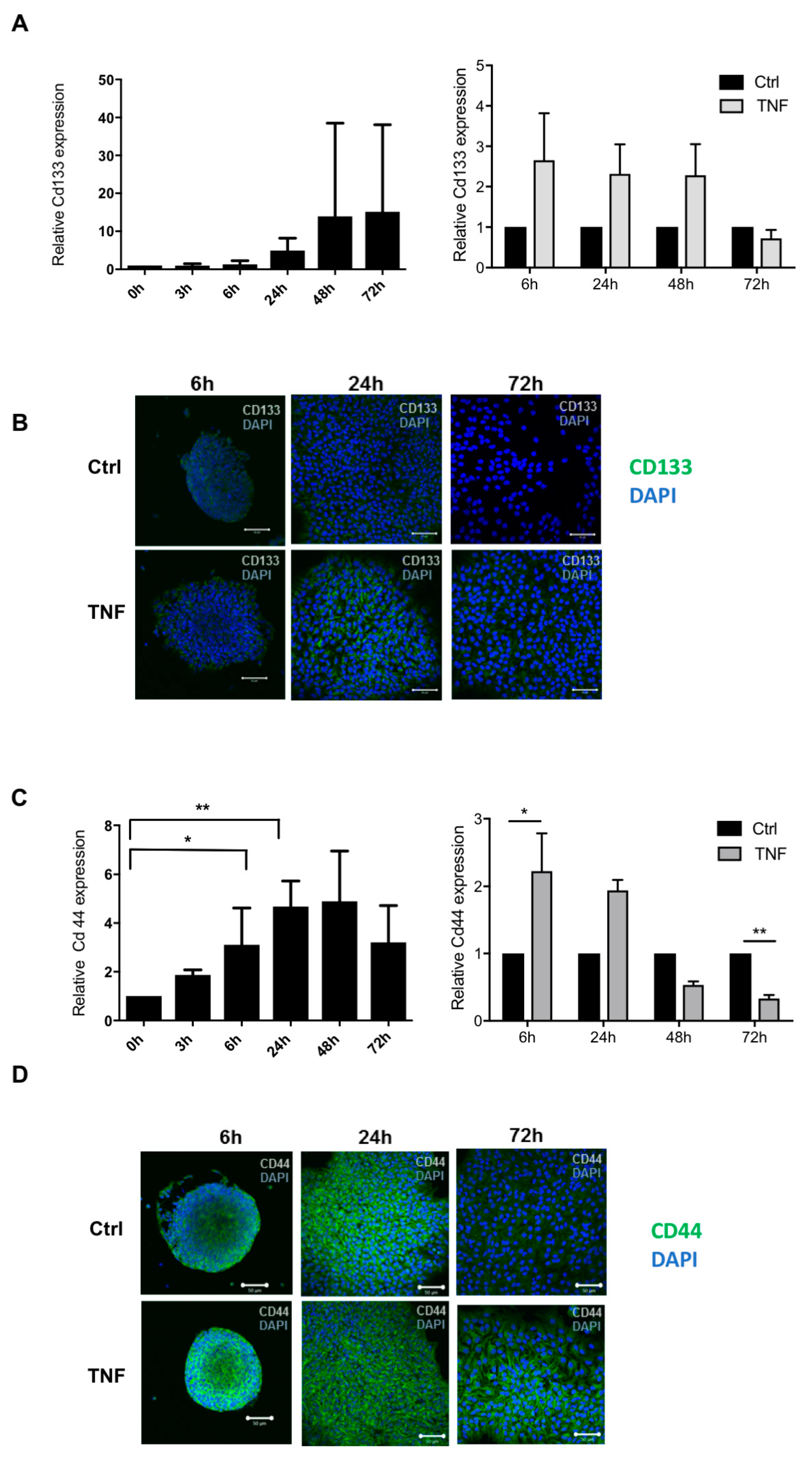 Cells 10 00840 g003 Cells 10 00840 g003