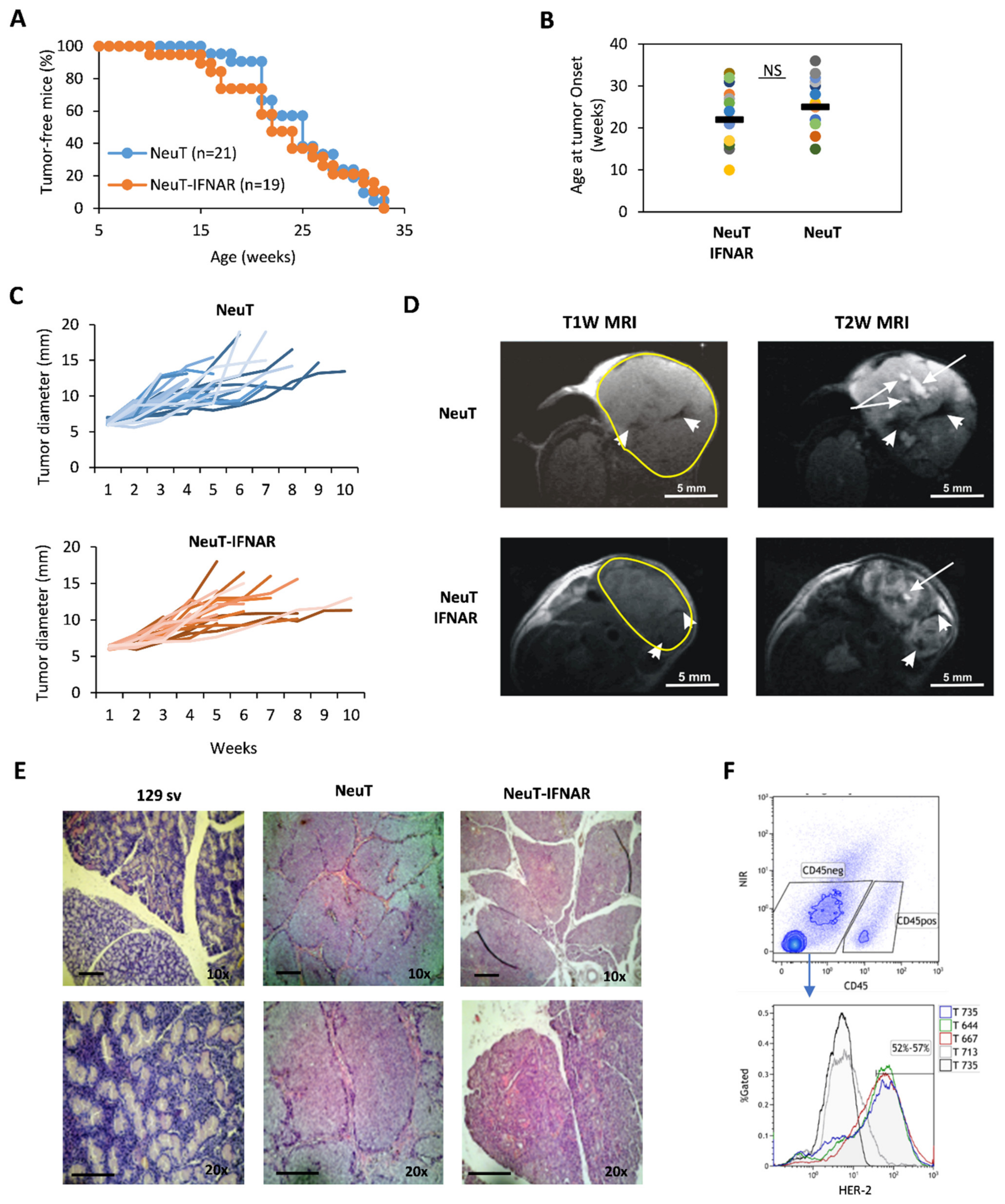 Cells 10 00845 g004 Cells 10 00845 g004