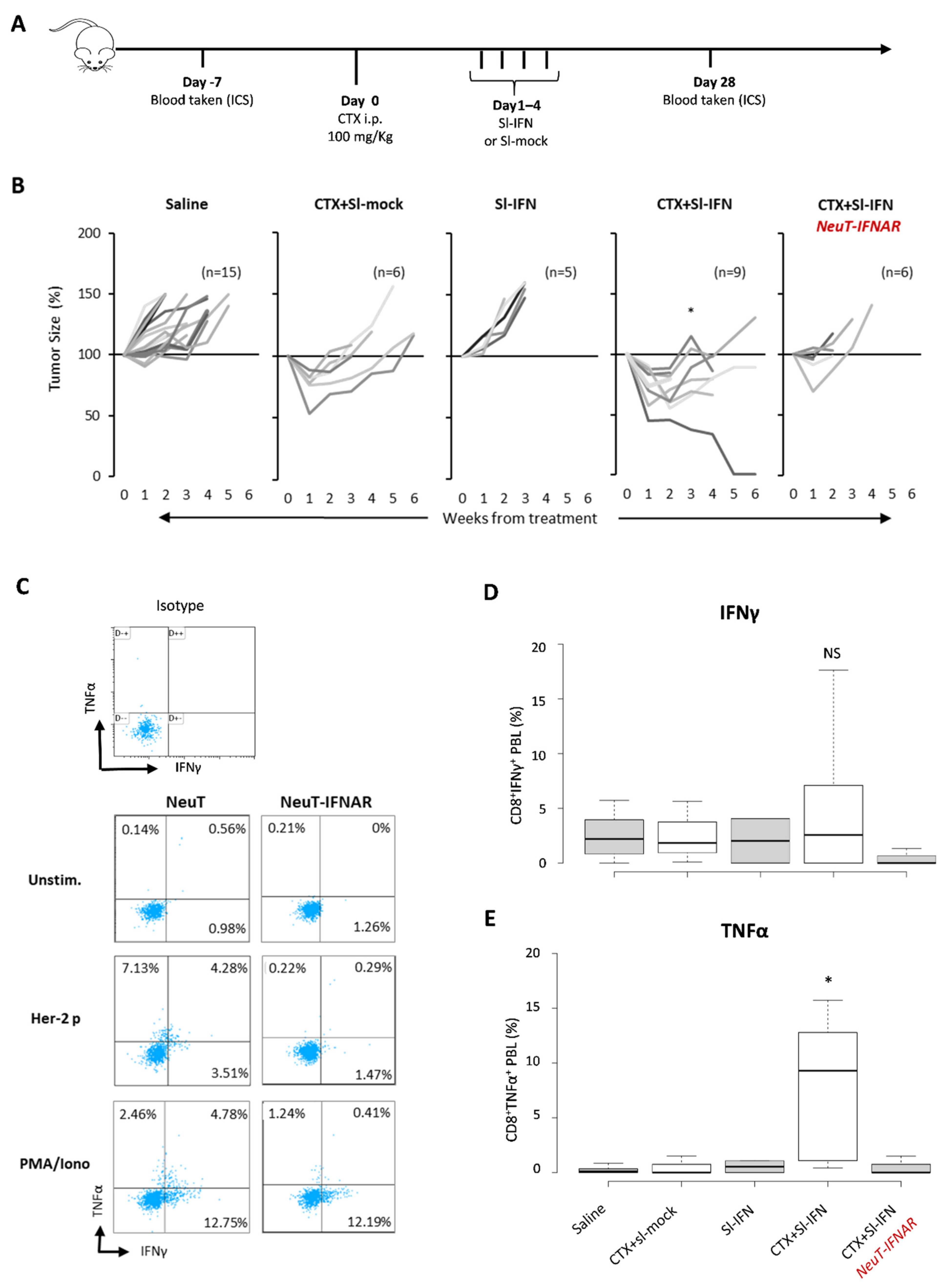 Cells 10 00845 g005 Cells 10 00845 g005