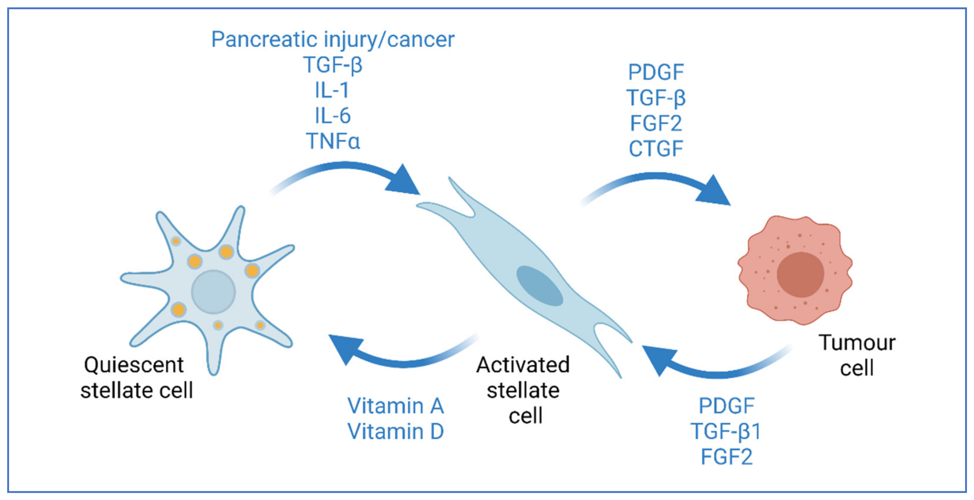 Cells 10 00847 g002 Cells 10 00847 g002