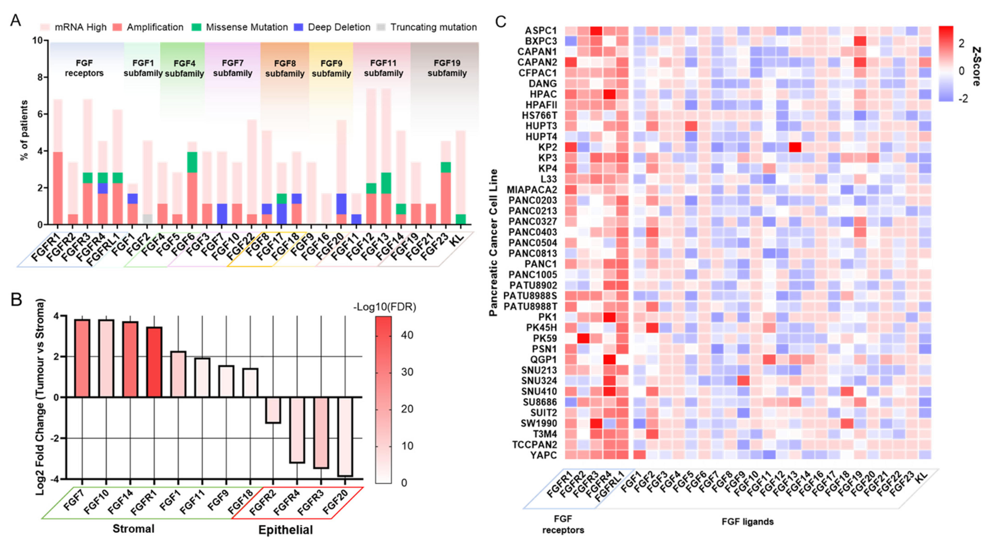 Cells 10 00847 g004 Cells 10 00847 g004