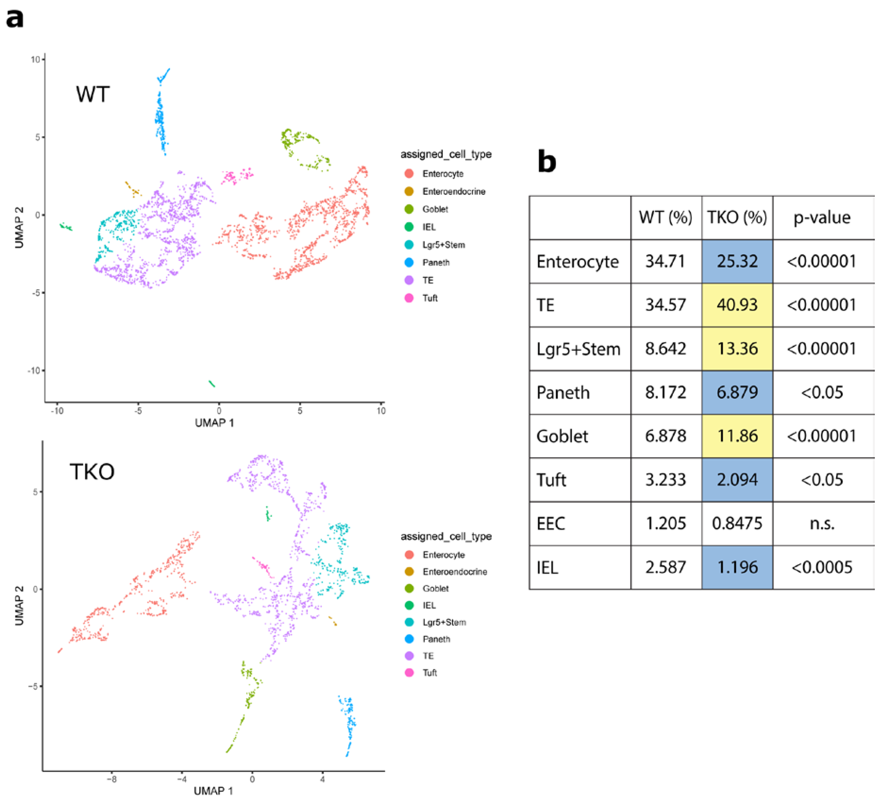Cells 10 00871 g001 Cells 10 00871 g001