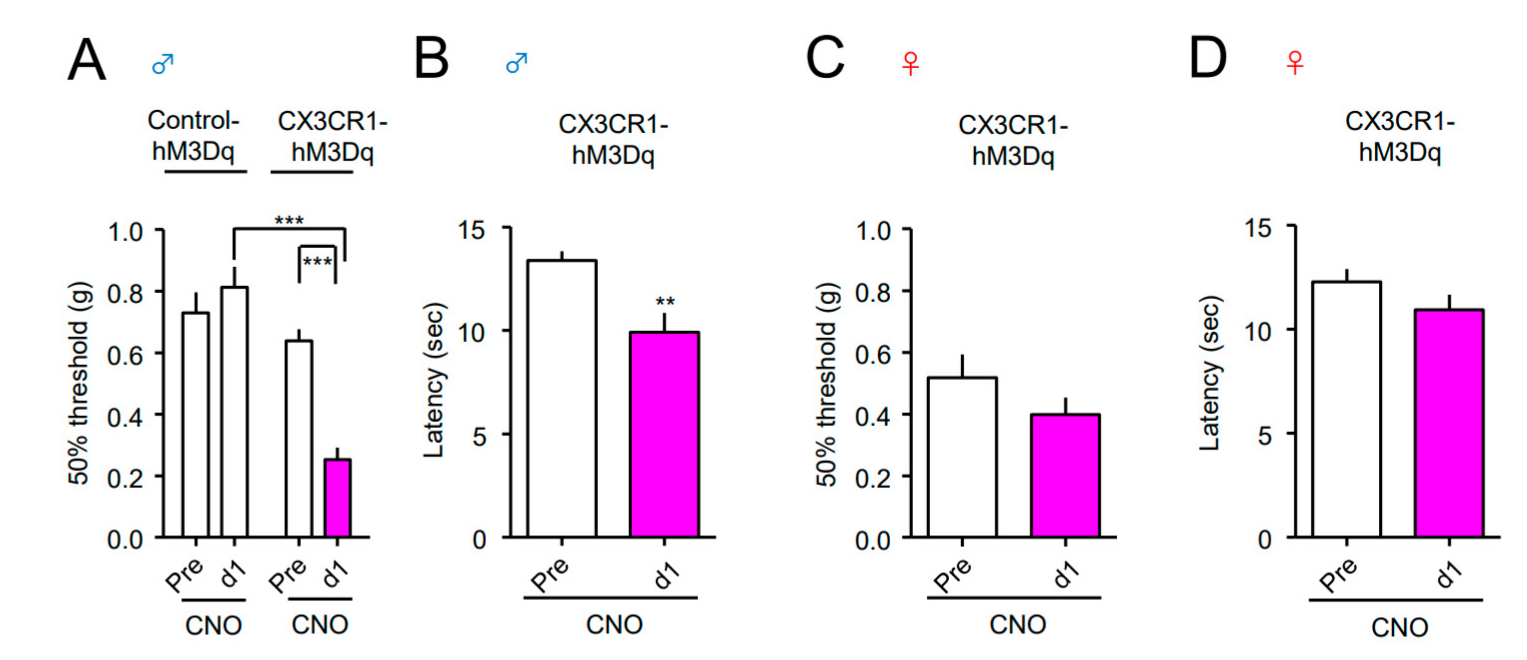 Cells 10 00874 g003 Cells 10 00874 g003