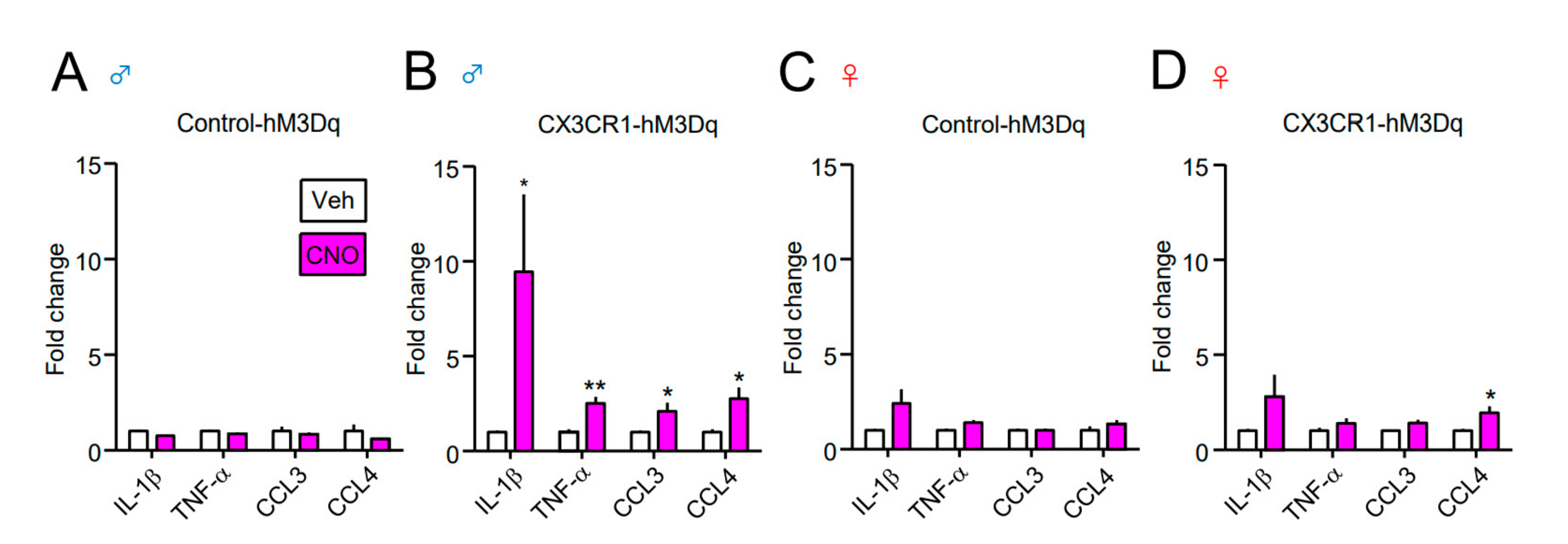 Cells 10 00874 g004 Cells 10 00874 g004