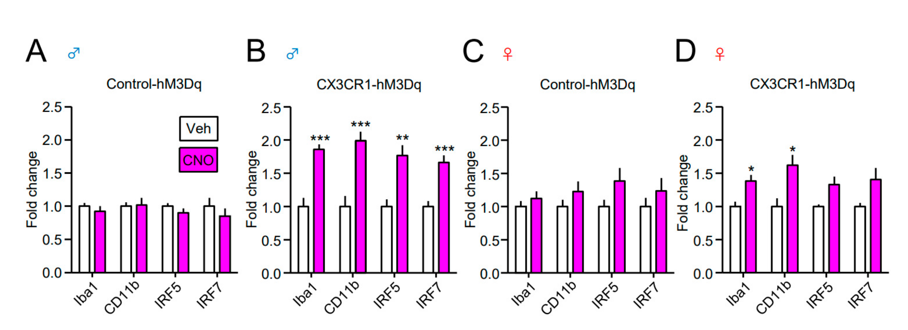 Cells 10 00874 g005 Cells 10 00874 g005