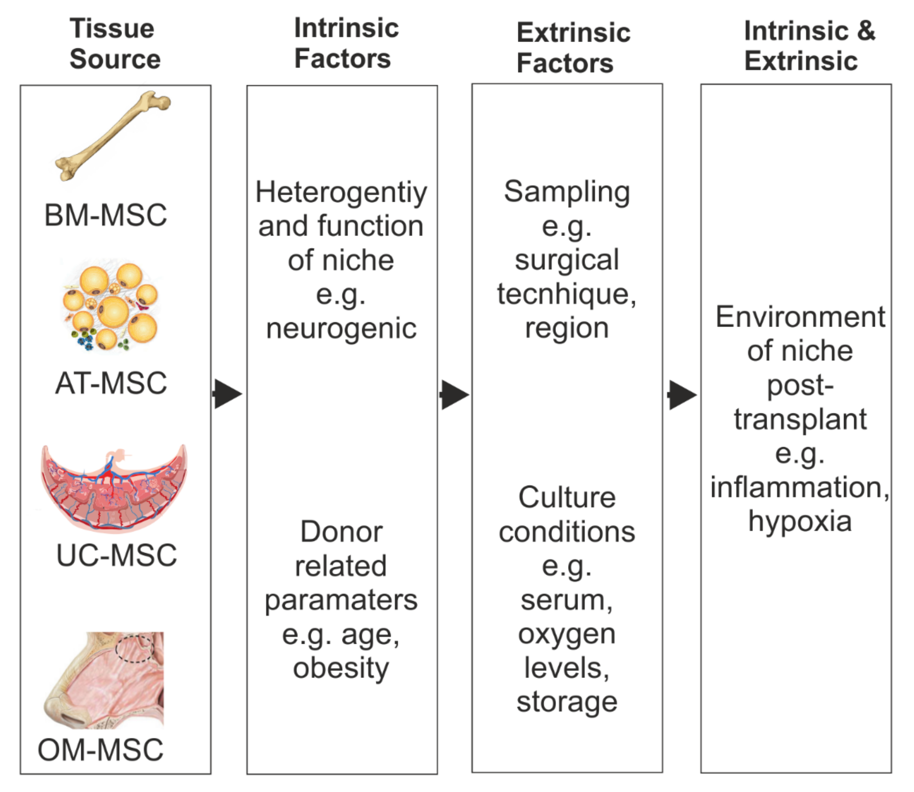 Cells 10 00901 g003 Cells 10 00901 g003