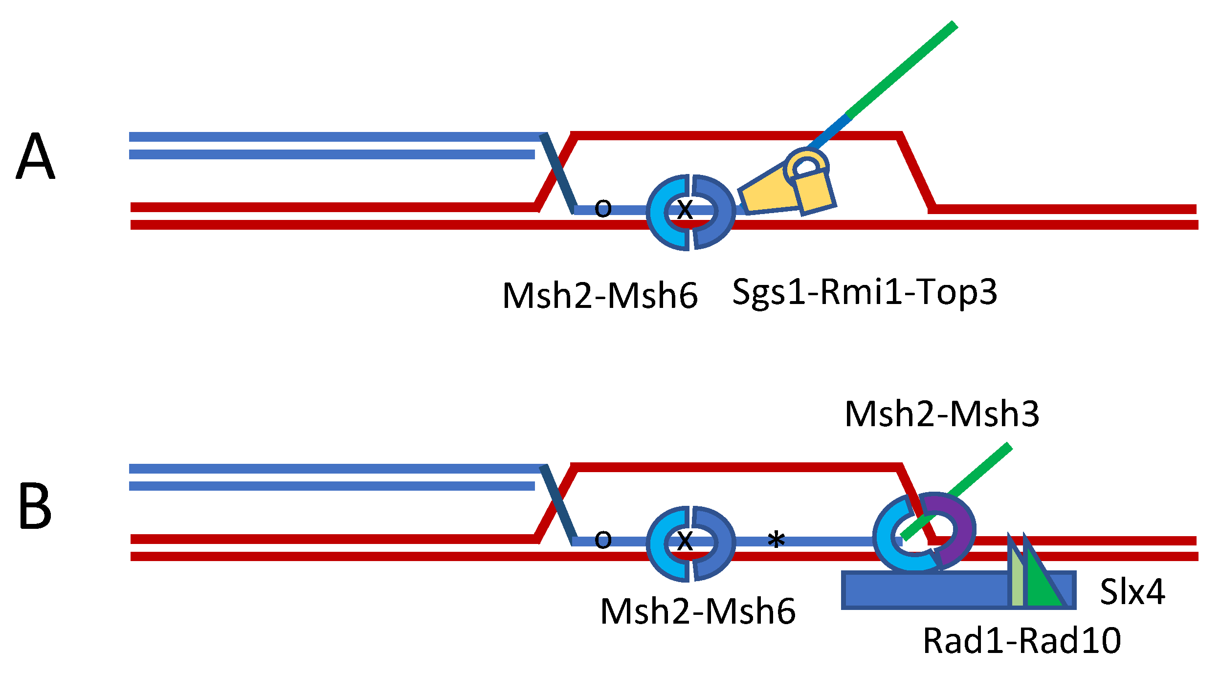 Cells 10 00945 g002 Cells 10 00945 g002
