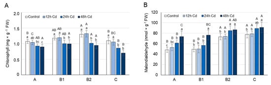 Cells Free Full Text Proline Concentration and Its Metabolism