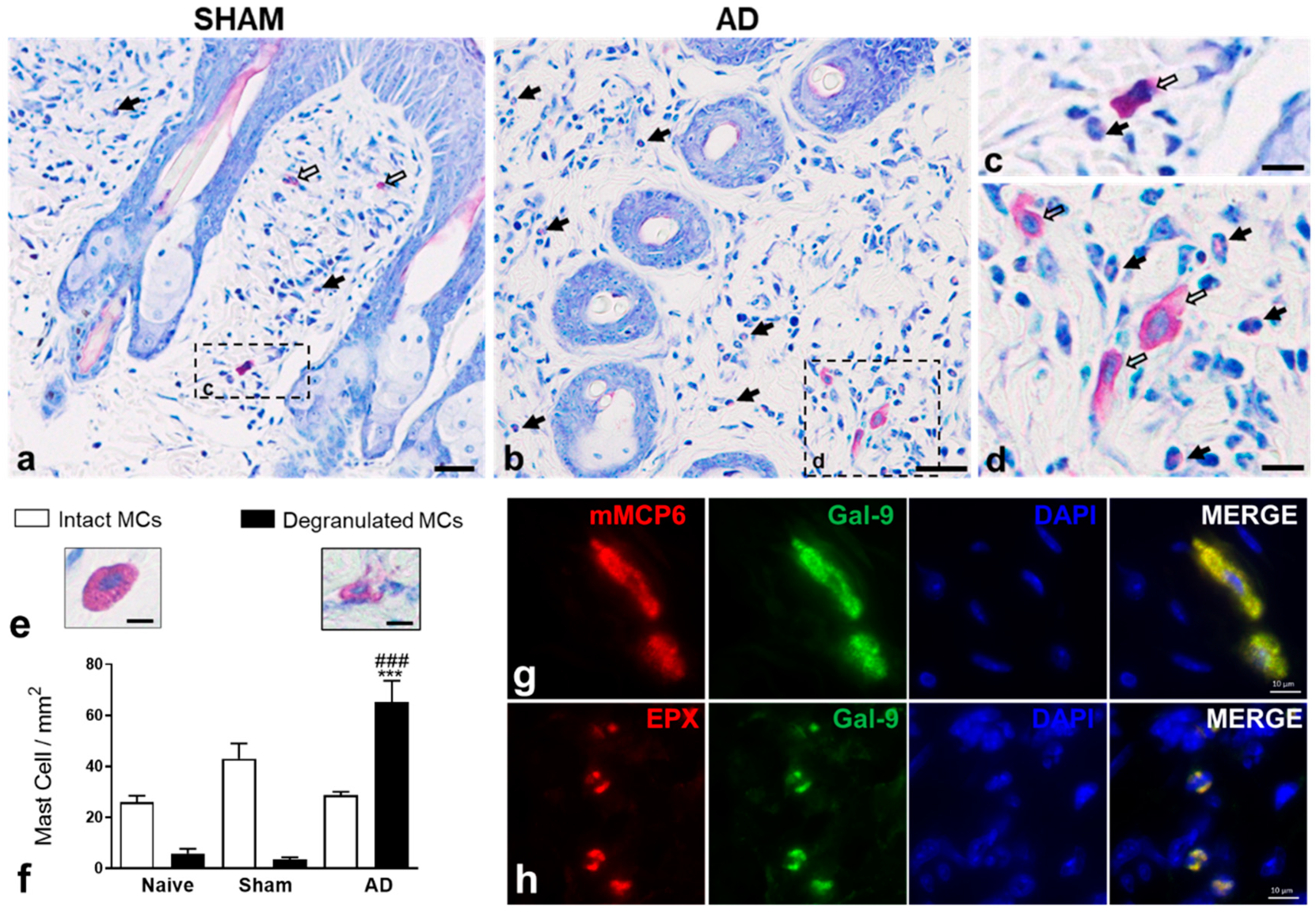 Cells 10 00947 g002 Cells 10 00947 g002