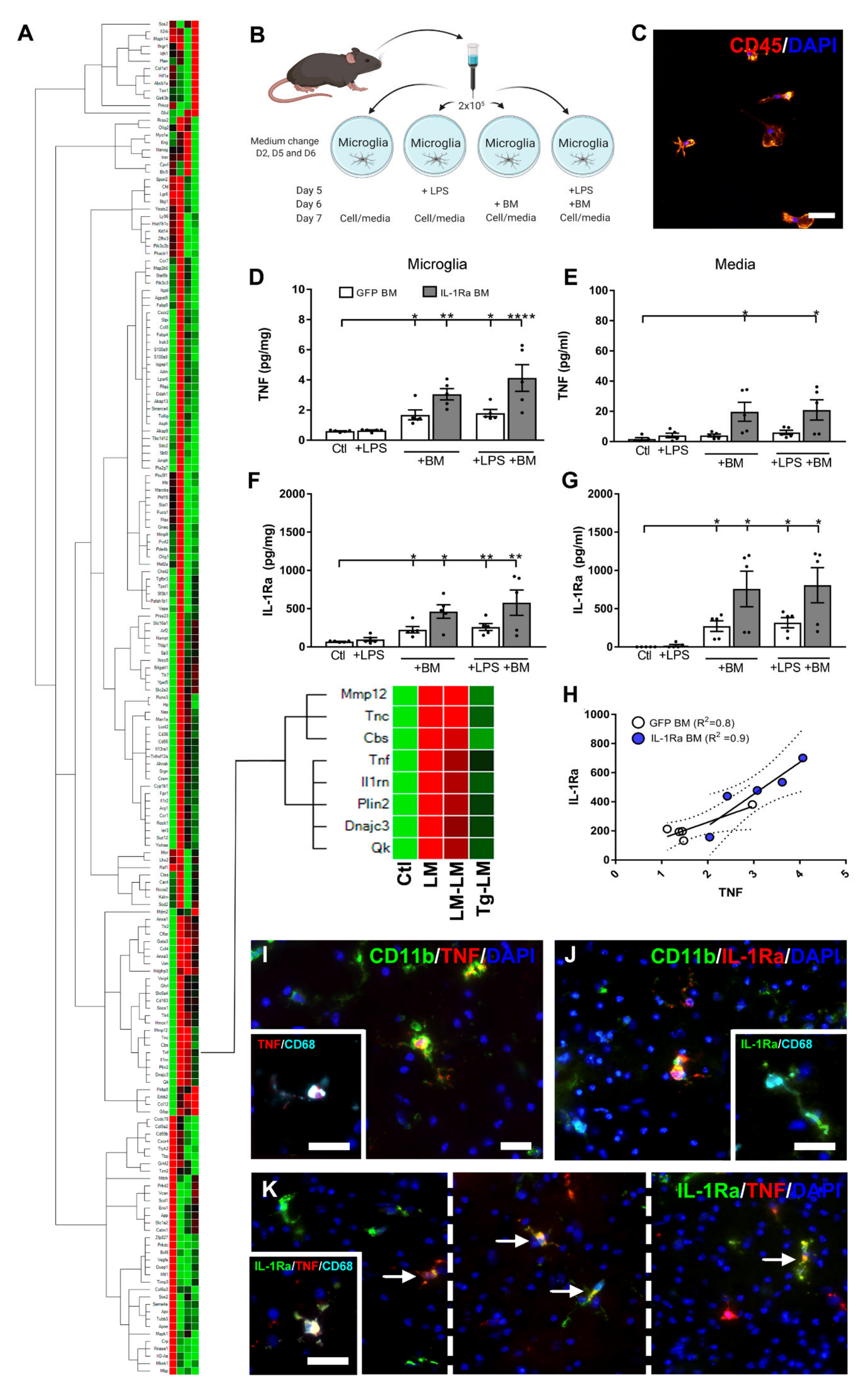 Cells 10 00956 g005 Cells 10 00956 g005