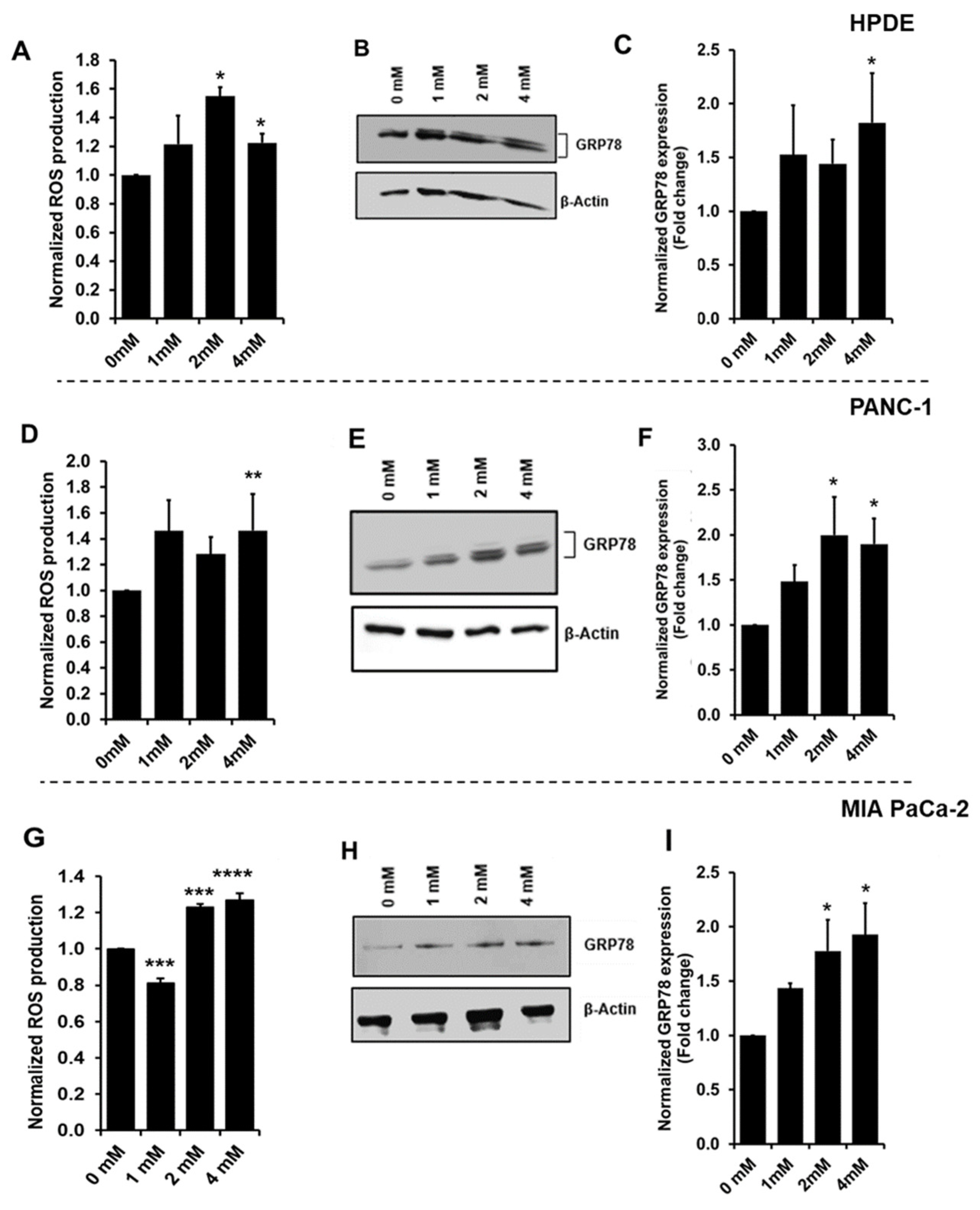 Cells 10 01005 g002 Cells 10 01005 g002