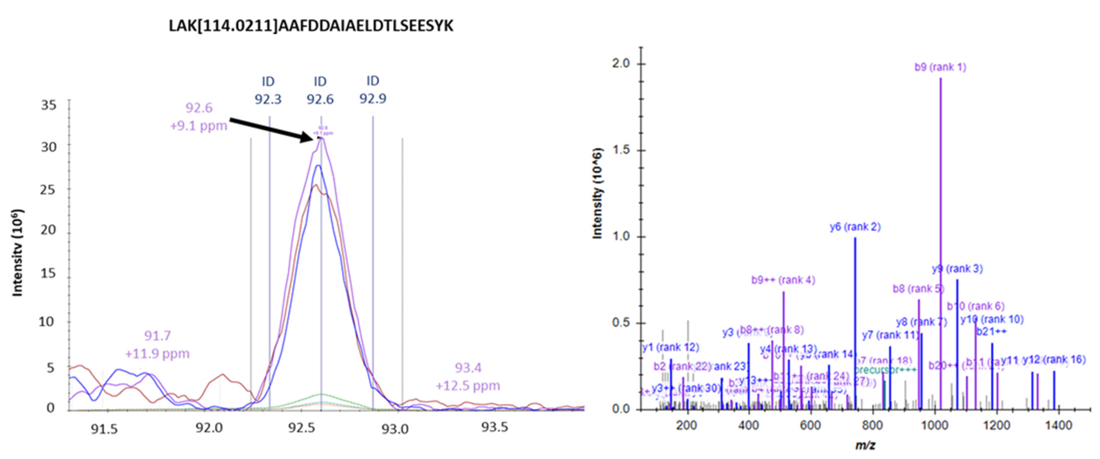 Cells Free Full Text Proteomic Investigation Of Glyceraldehyde