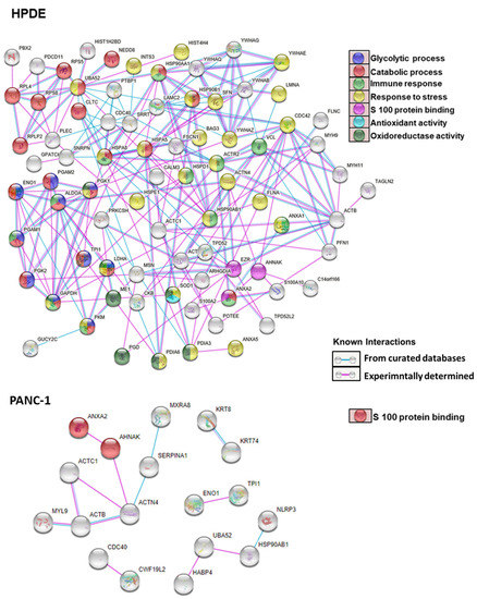 Cells Free Full Text Proteomic Investigation Of Glyceraldehyde