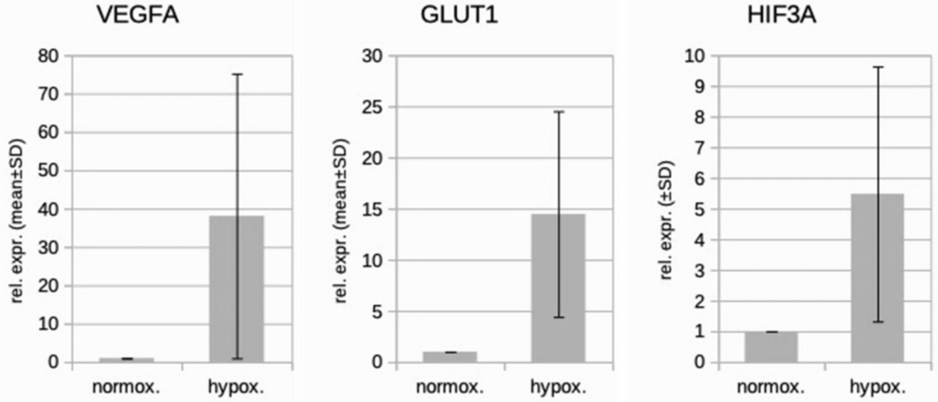 Cells 10 01008 g002 Cells 10 01008 g002