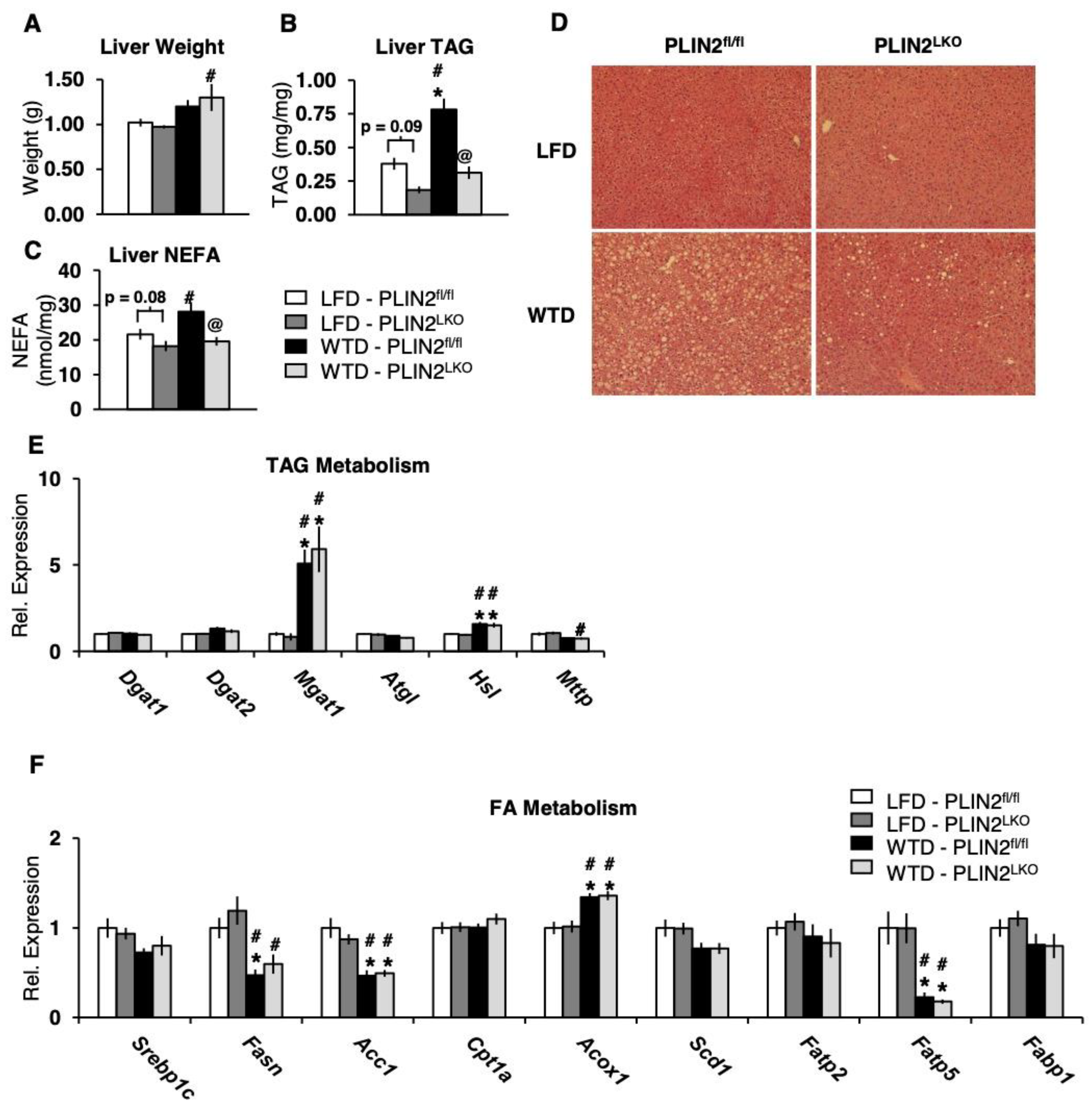 Cells 10 01016 g003 Cells 10 01016 g003
