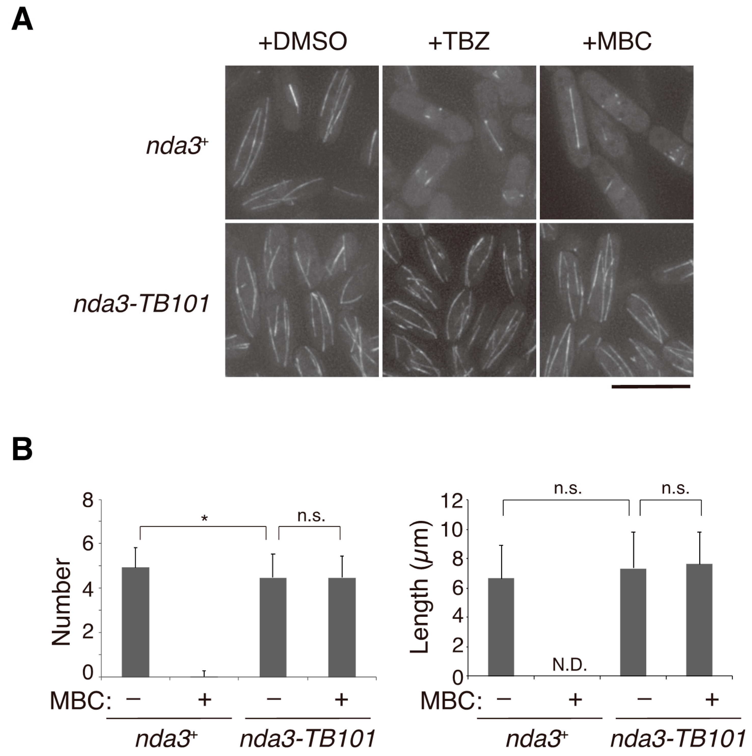 Cells 10 01042 g003 Cells 10 01042 g003