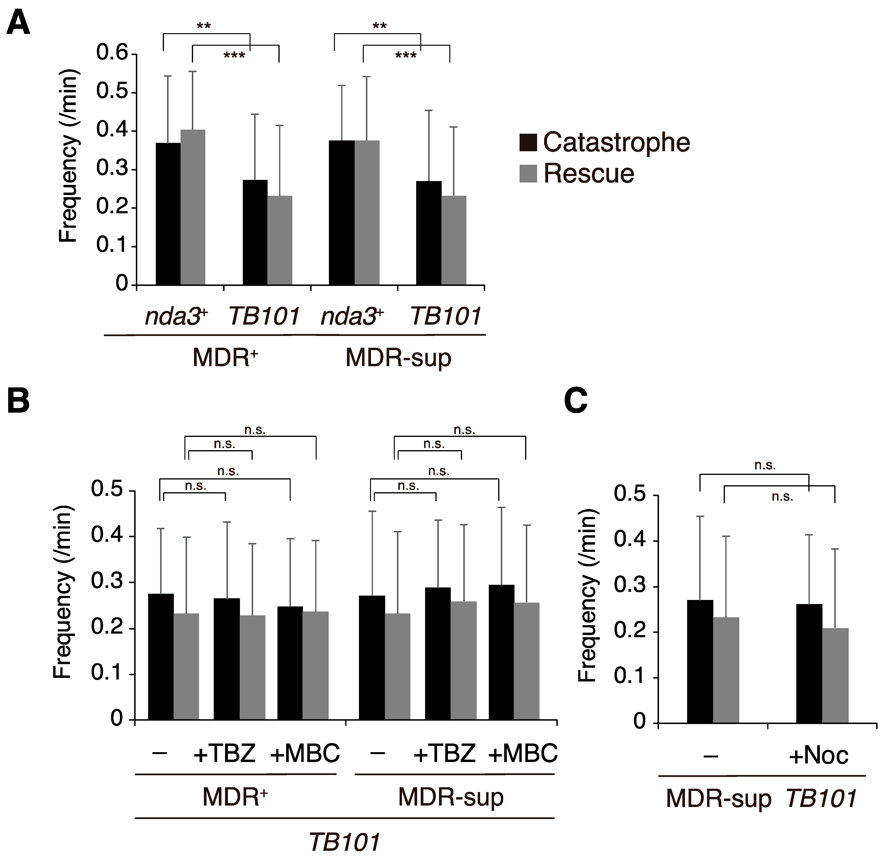 Cells 10 01042 g005 Cells 10 01042 g005