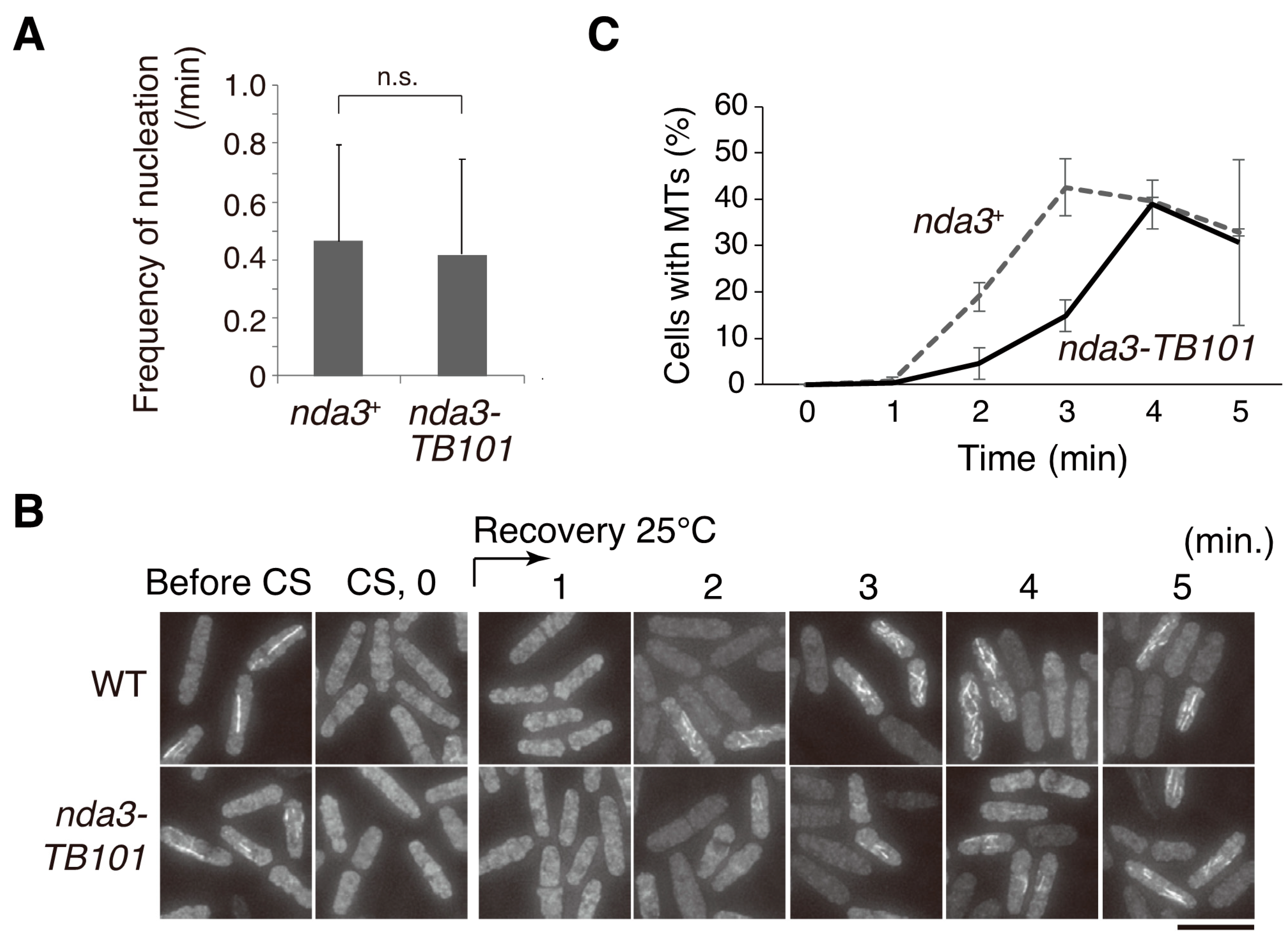 Cells 10 01042 g006 Cells 10 01042 g006