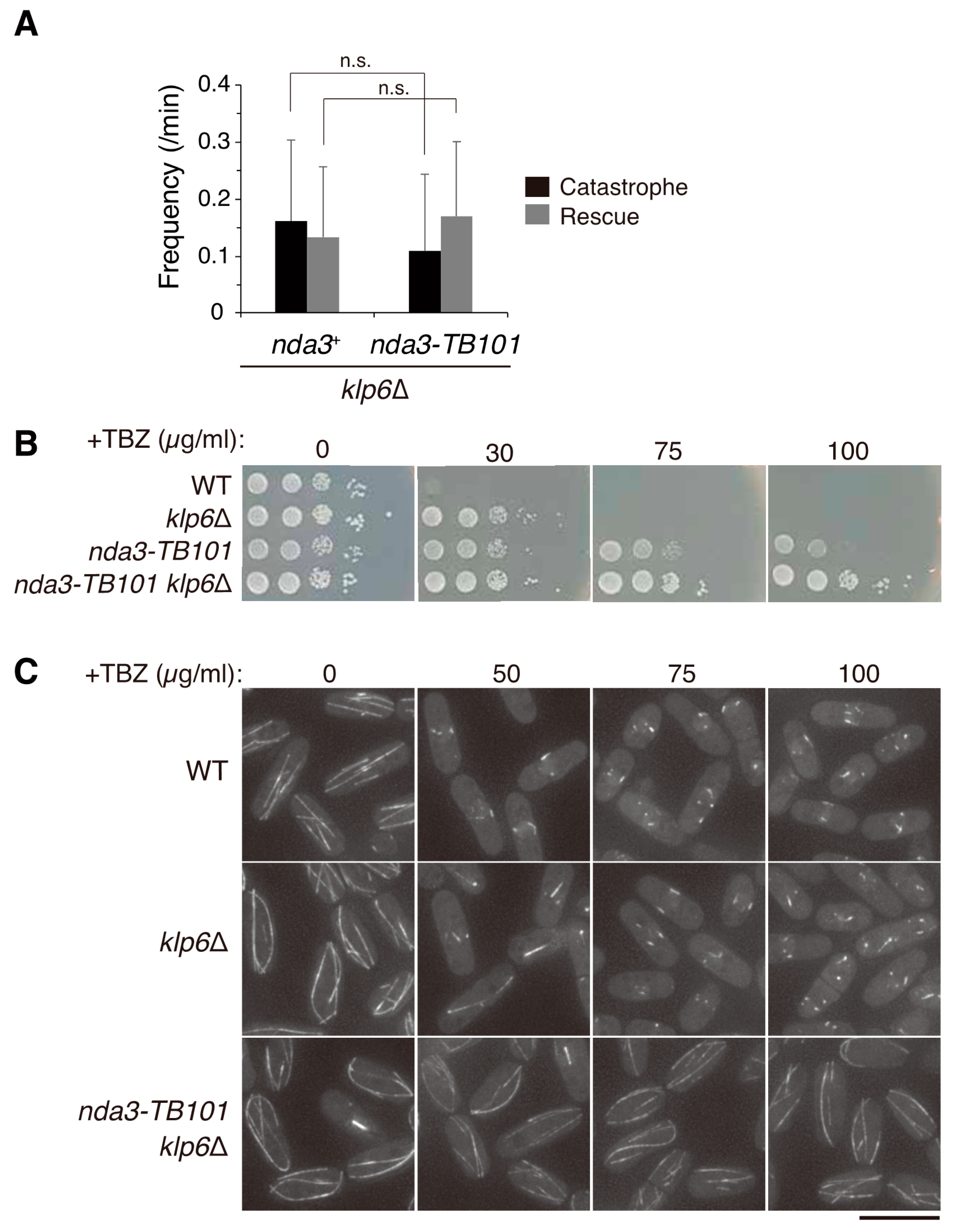 Cells 10 01042 g008 Cells 10 01042 g008