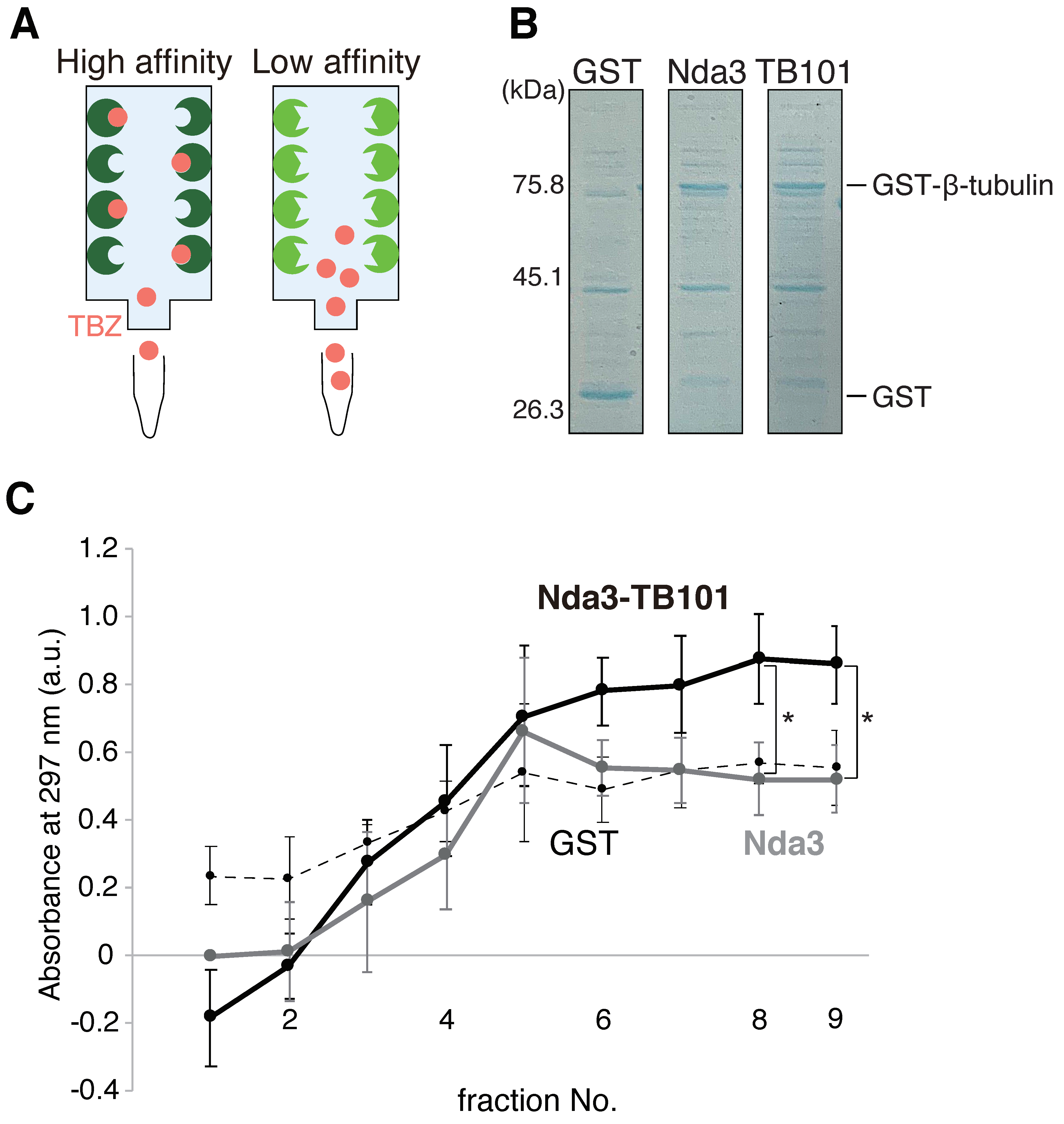 Cells 10 01042 g009 Cells 10 01042 g009