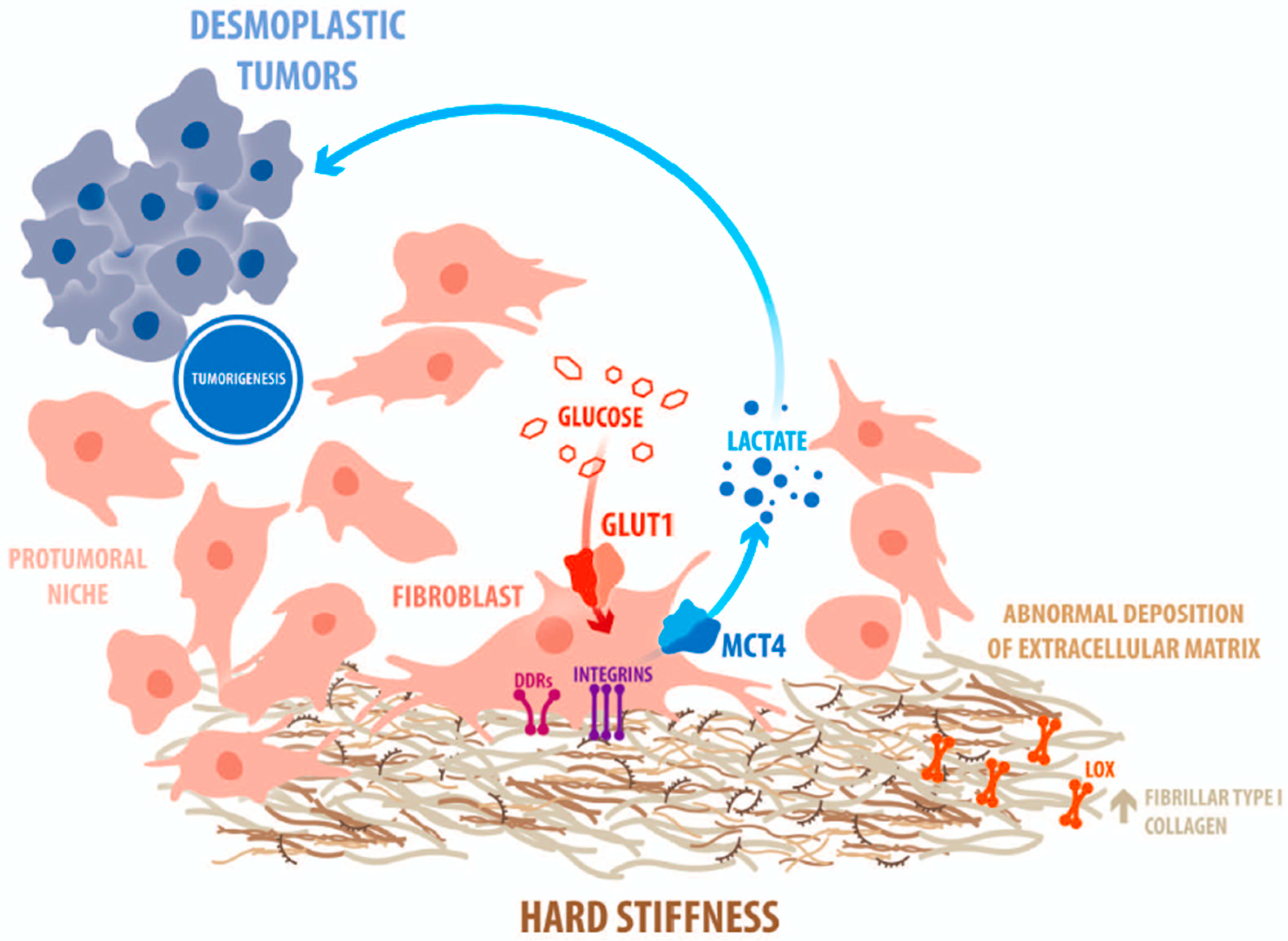 Cells 10 01046 g001 Cells 10 01046 g001