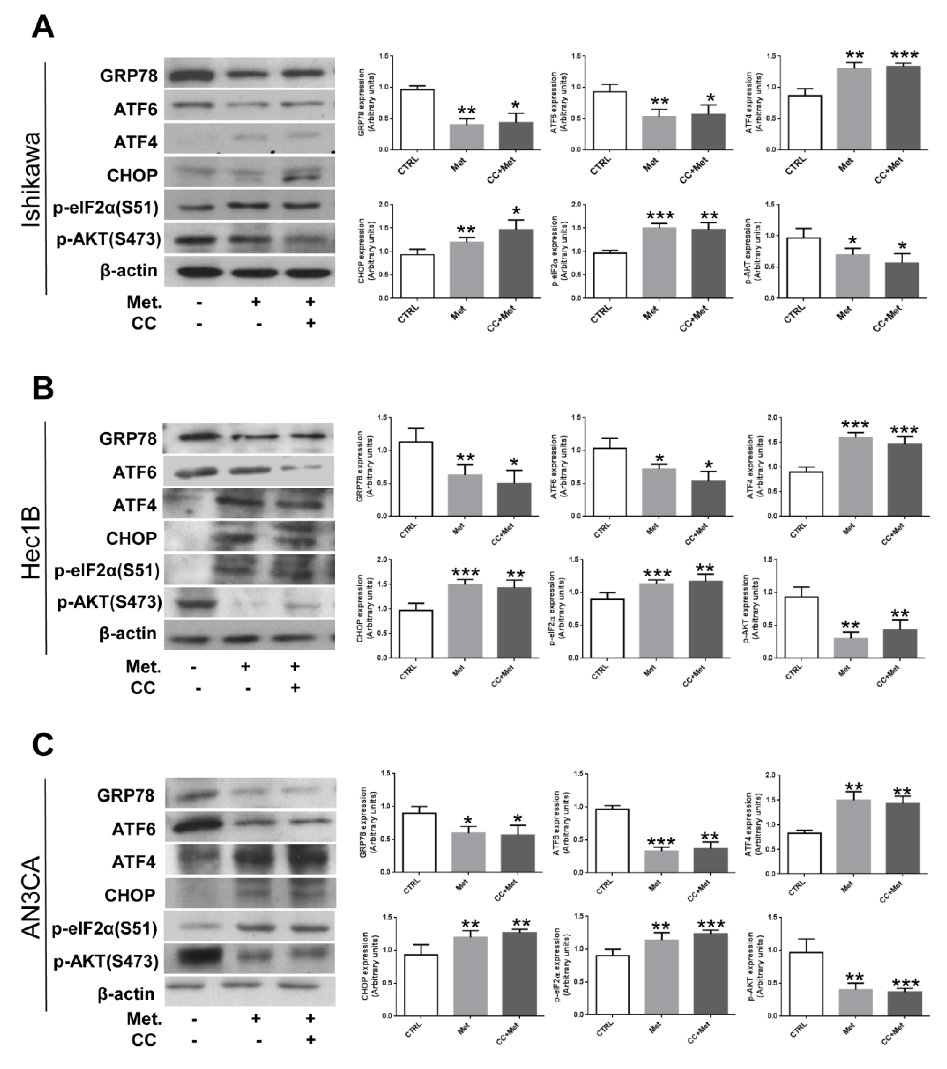 Cells 10 01067 g004 Cells 10 01067 g004