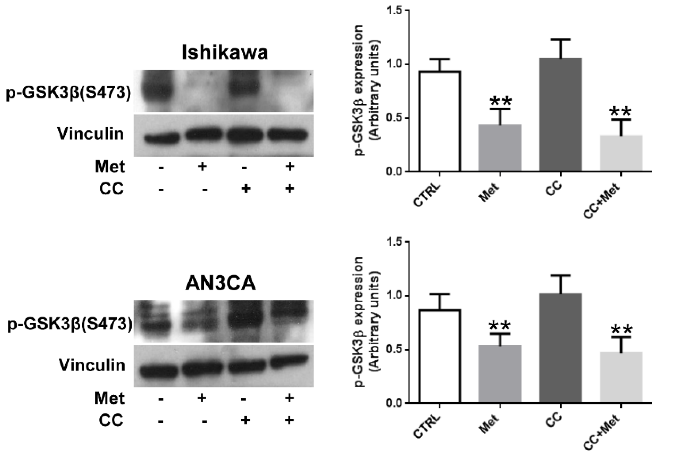 Cells 10 01067 g006 Cells 10 01067 g006