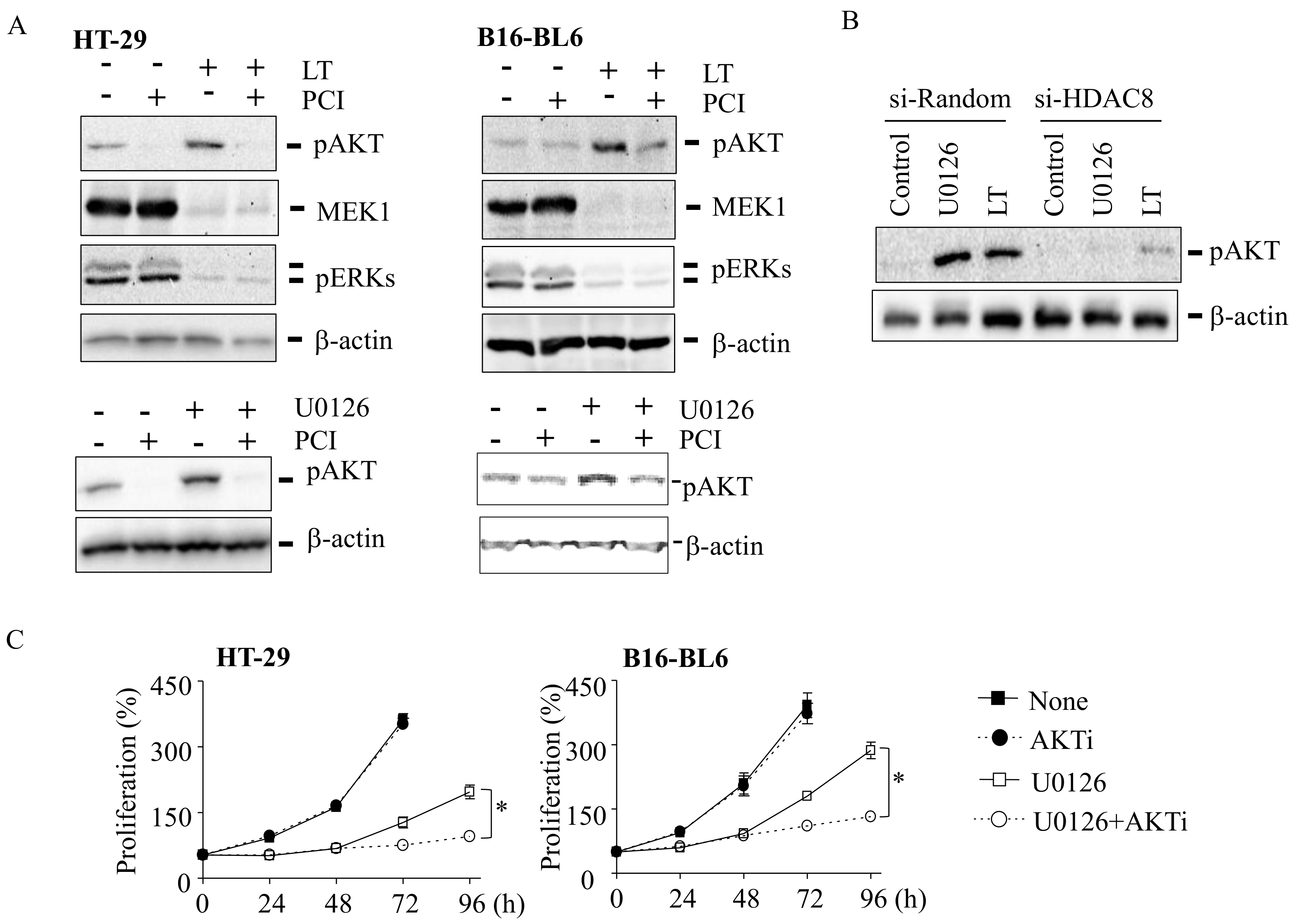 Cells 10 01101 g003 Cells 10 01101 g003