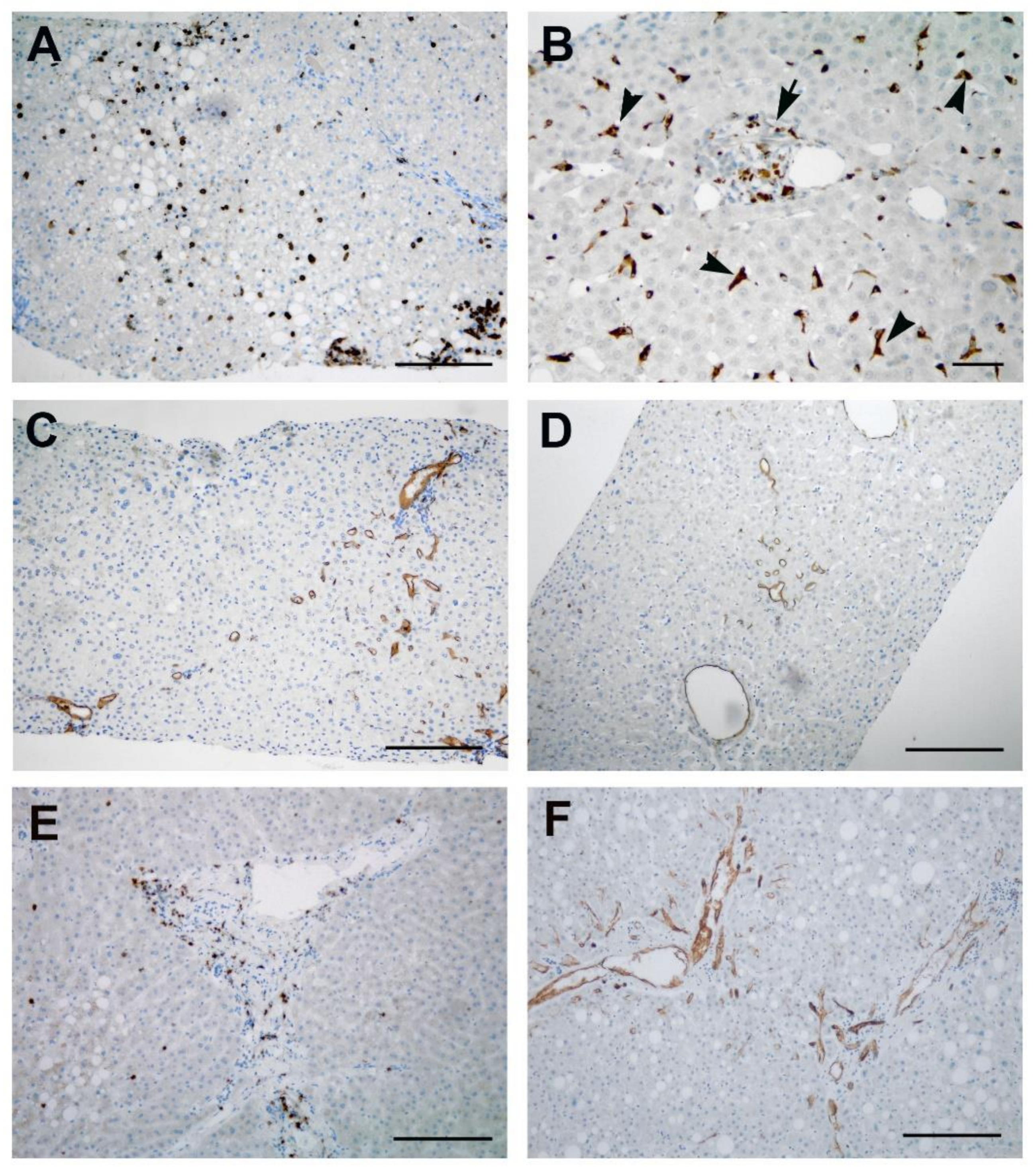 Cells 10 01103 g002 Cells 10 01103 g002