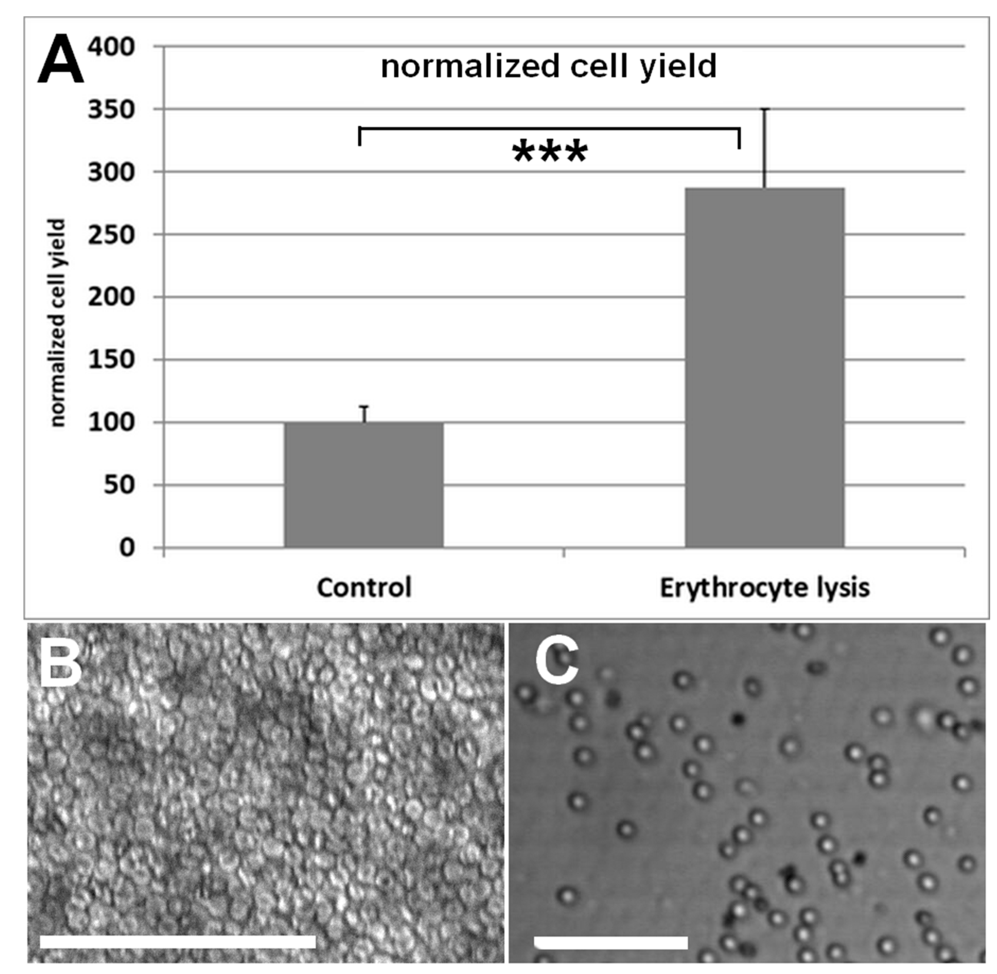 Cells 10 01113 g003 Cells 10 01113 g003
