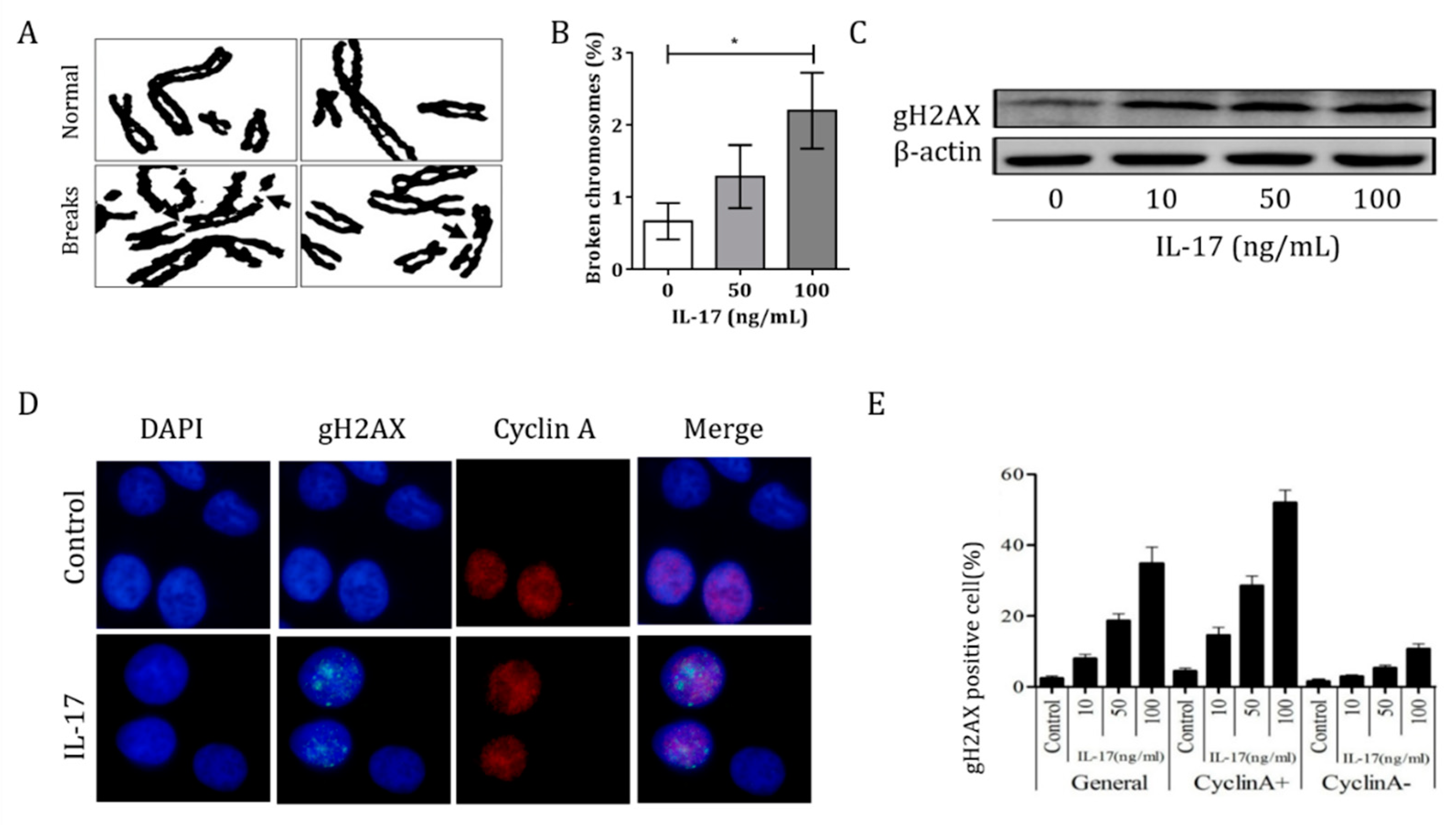 Cells 10 01173 g003 Cells 10 01173 g003