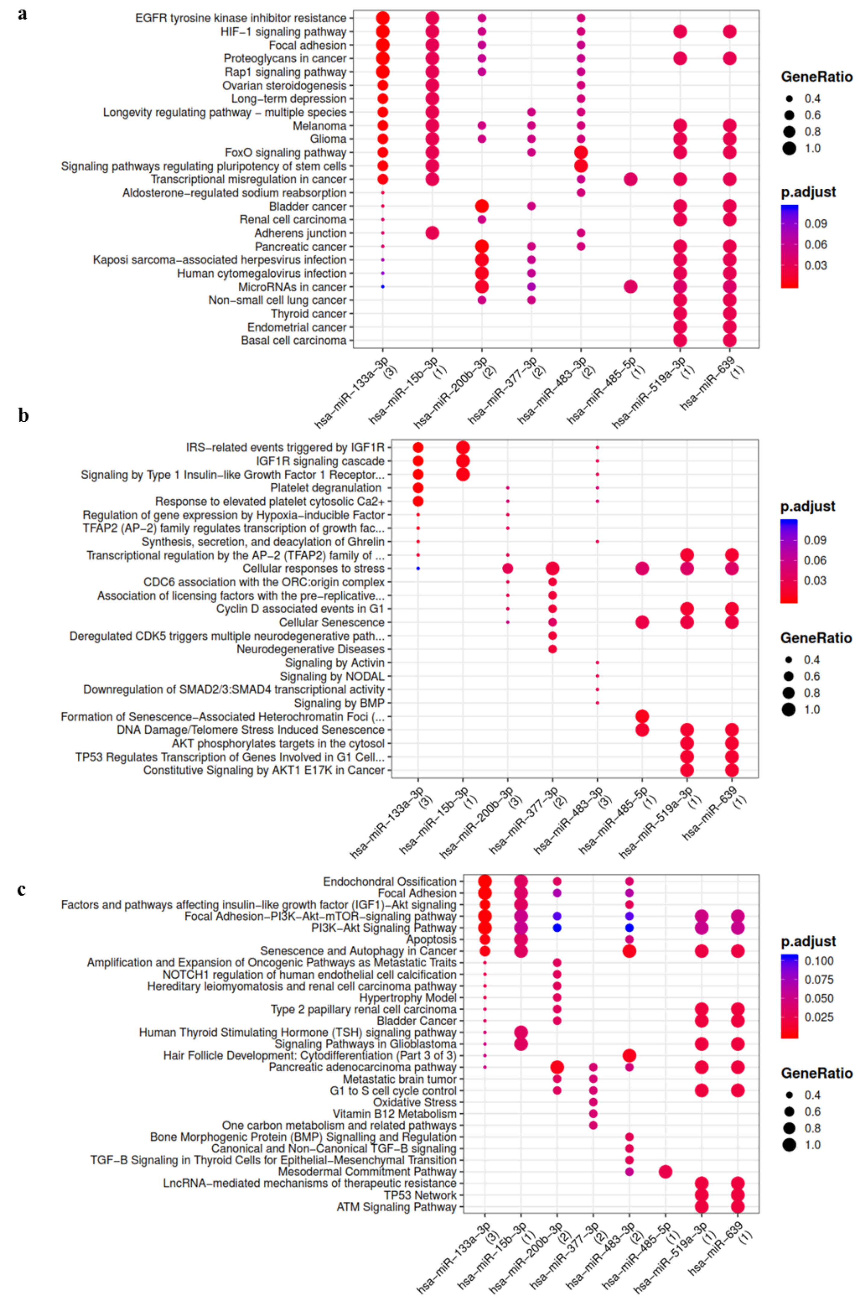 Cells 10 01180 g002 Cells 10 01180 g002