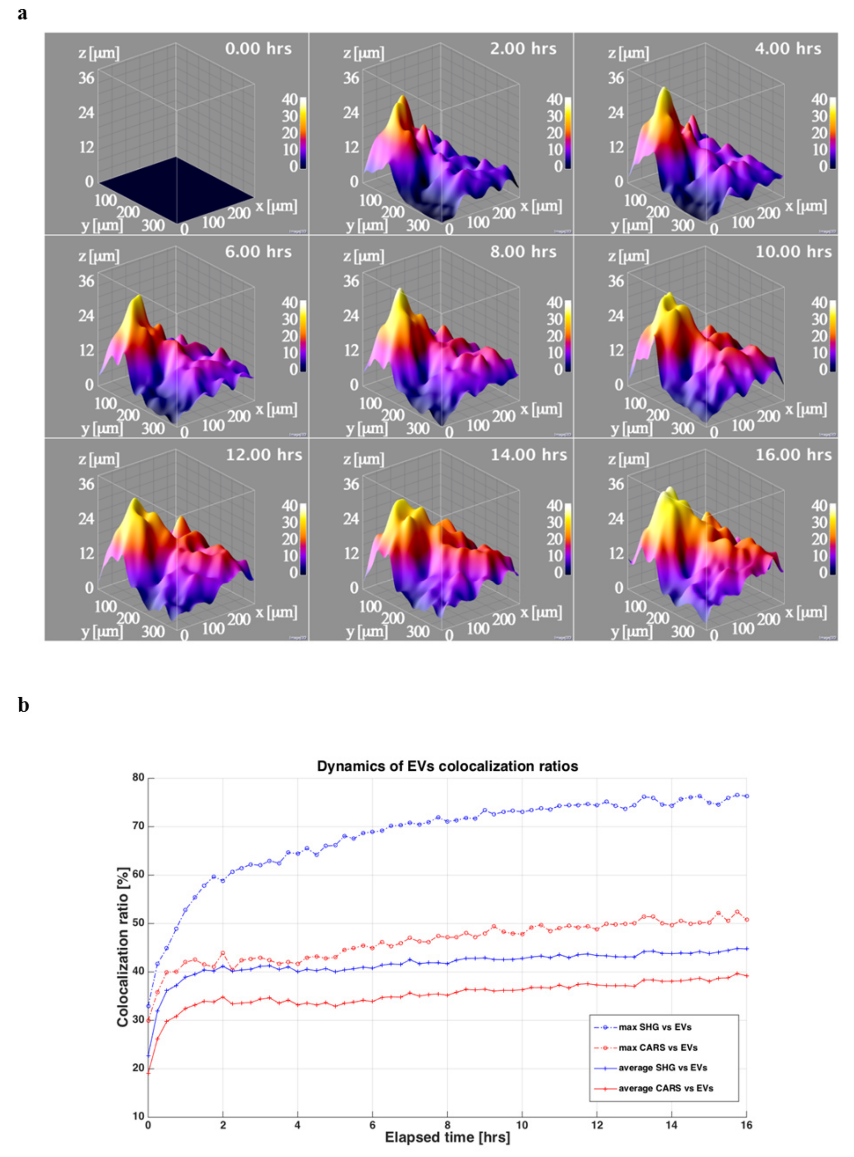 Cells 10 01180 g005 Cells 10 01180 g005