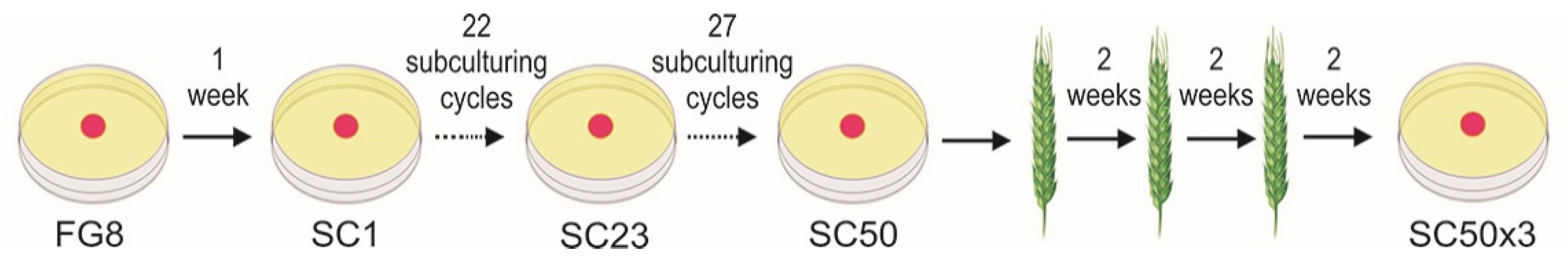 Cells 10 01192 g001 Cells 10 01192 g001