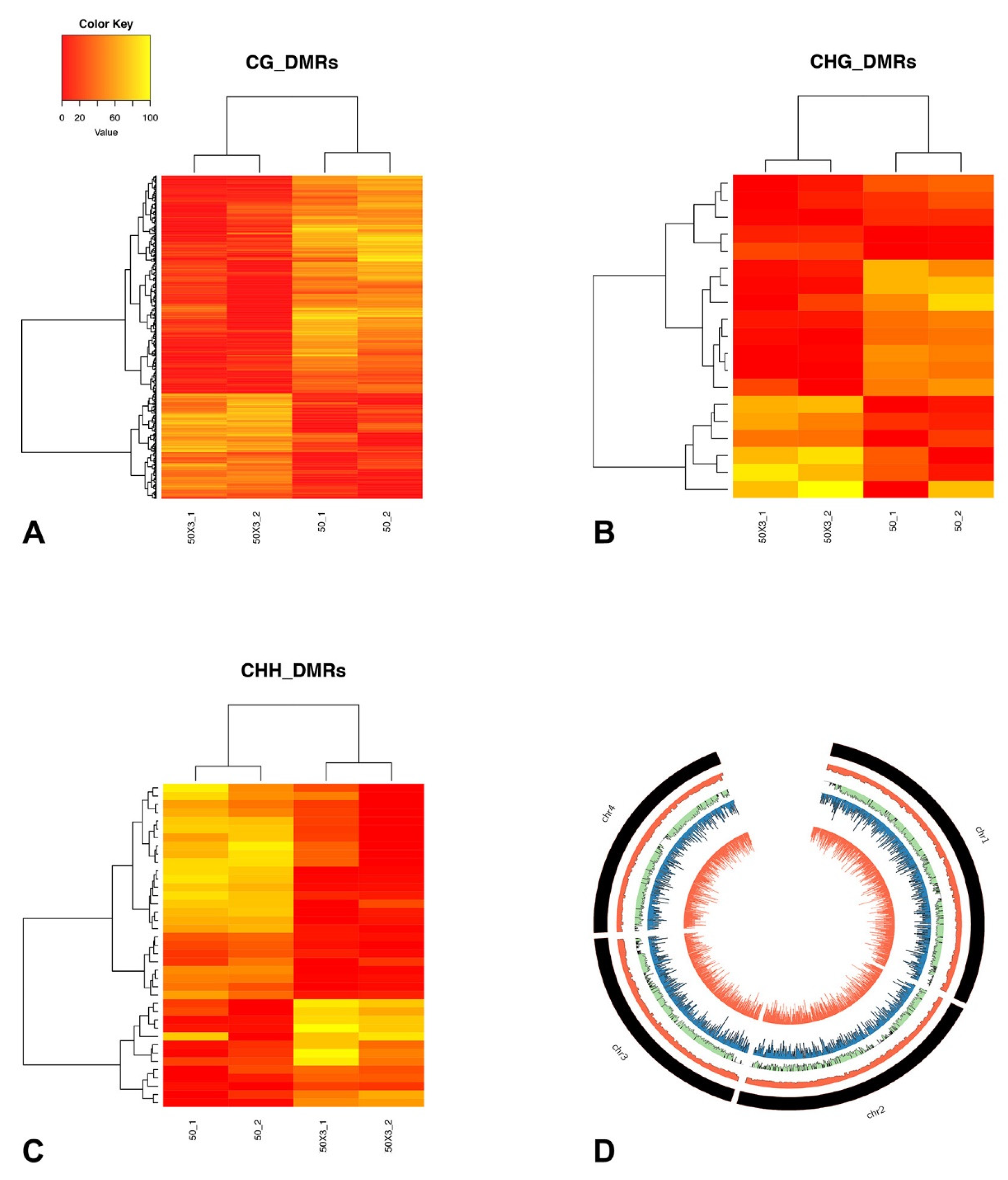Cells 10 01192 g004 Cells 10 01192 g004