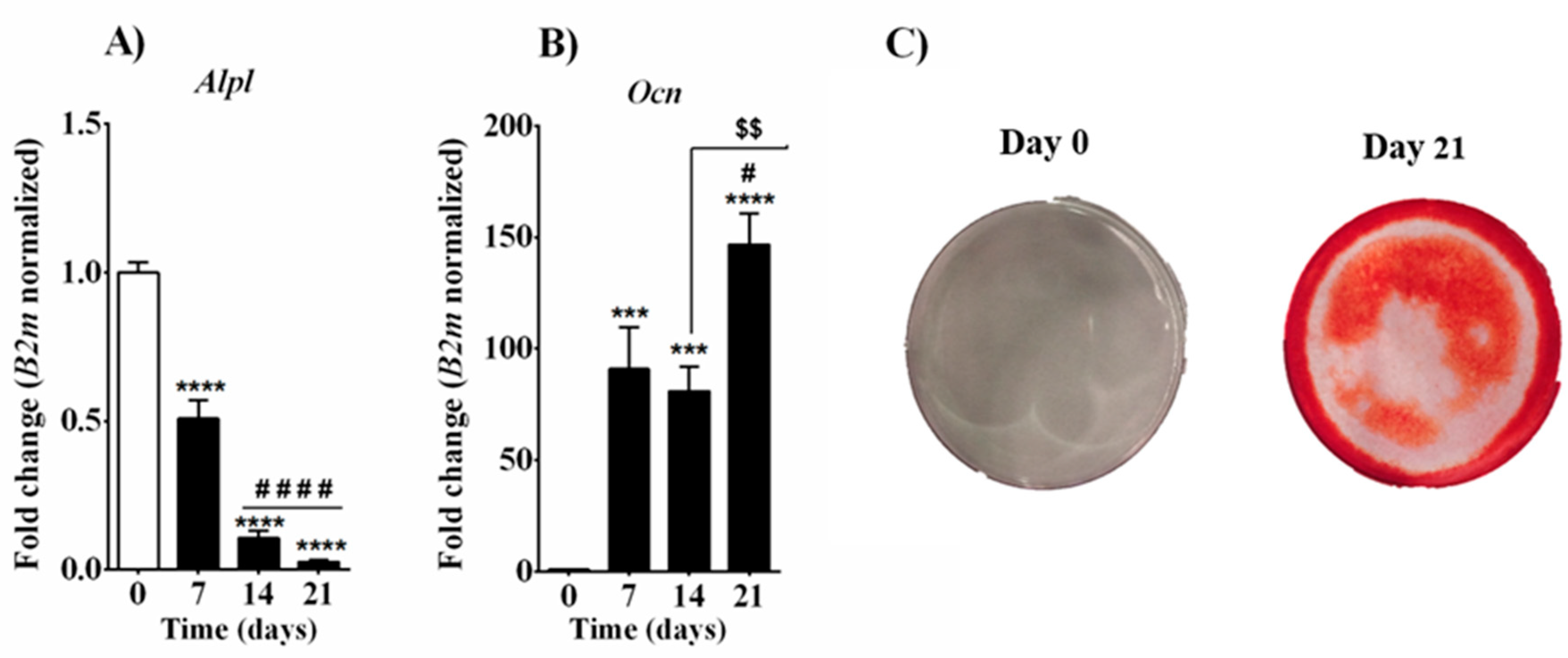 Cells 10 01199 g001 Cells 10 01199 g001