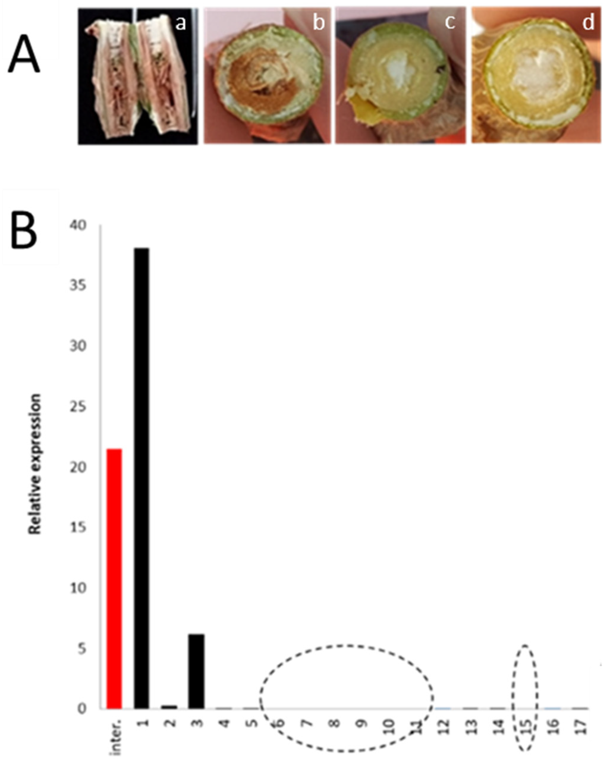 Cells 10 01221 g001 Cells 10 01221 g001