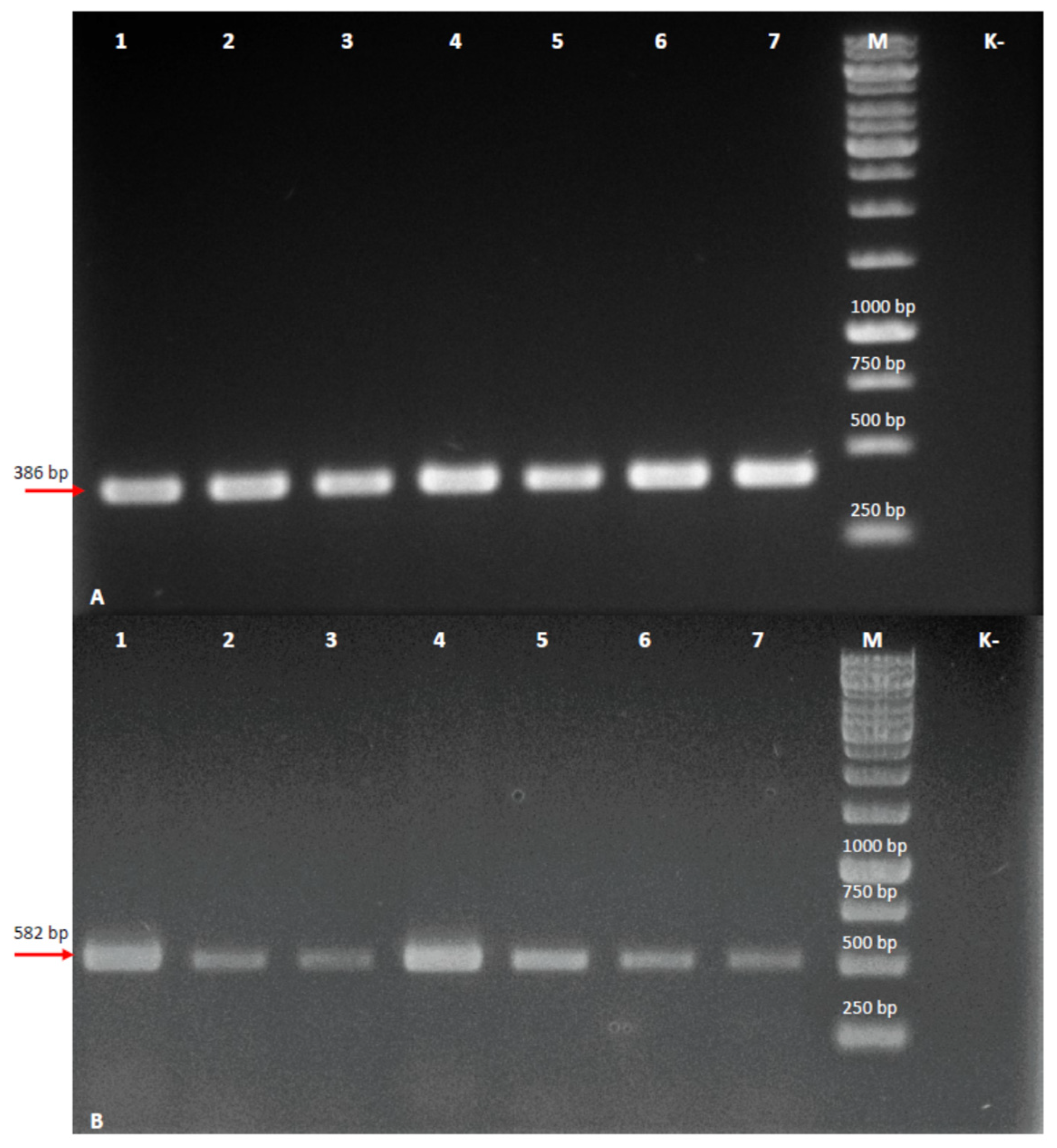Cells 10 01242 g003 Cells 10 01242 g003